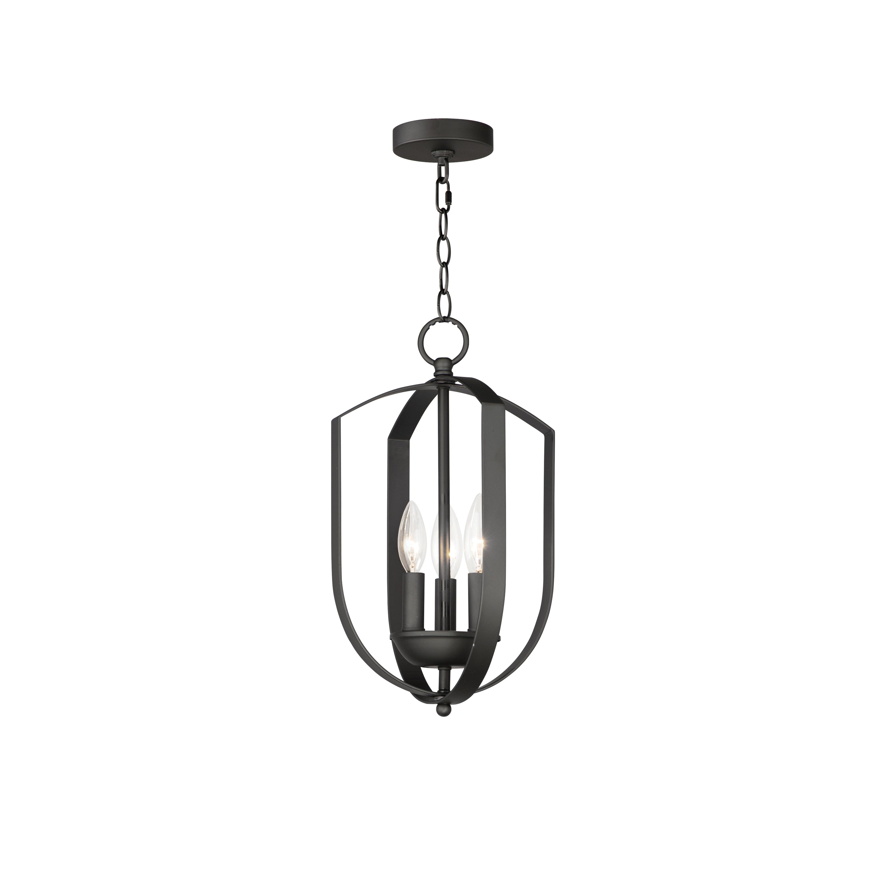 Provident Chandelier