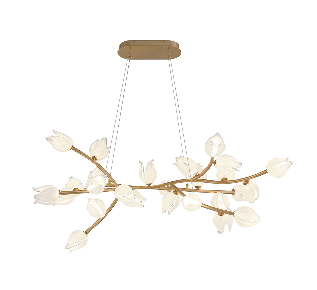 Belluno 26 Light Oval LED Chandelier
