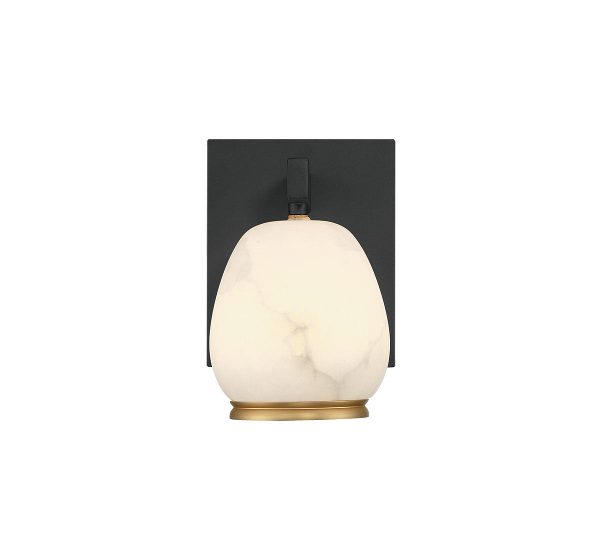 Lucidata 1 Light LED Wall Mount
