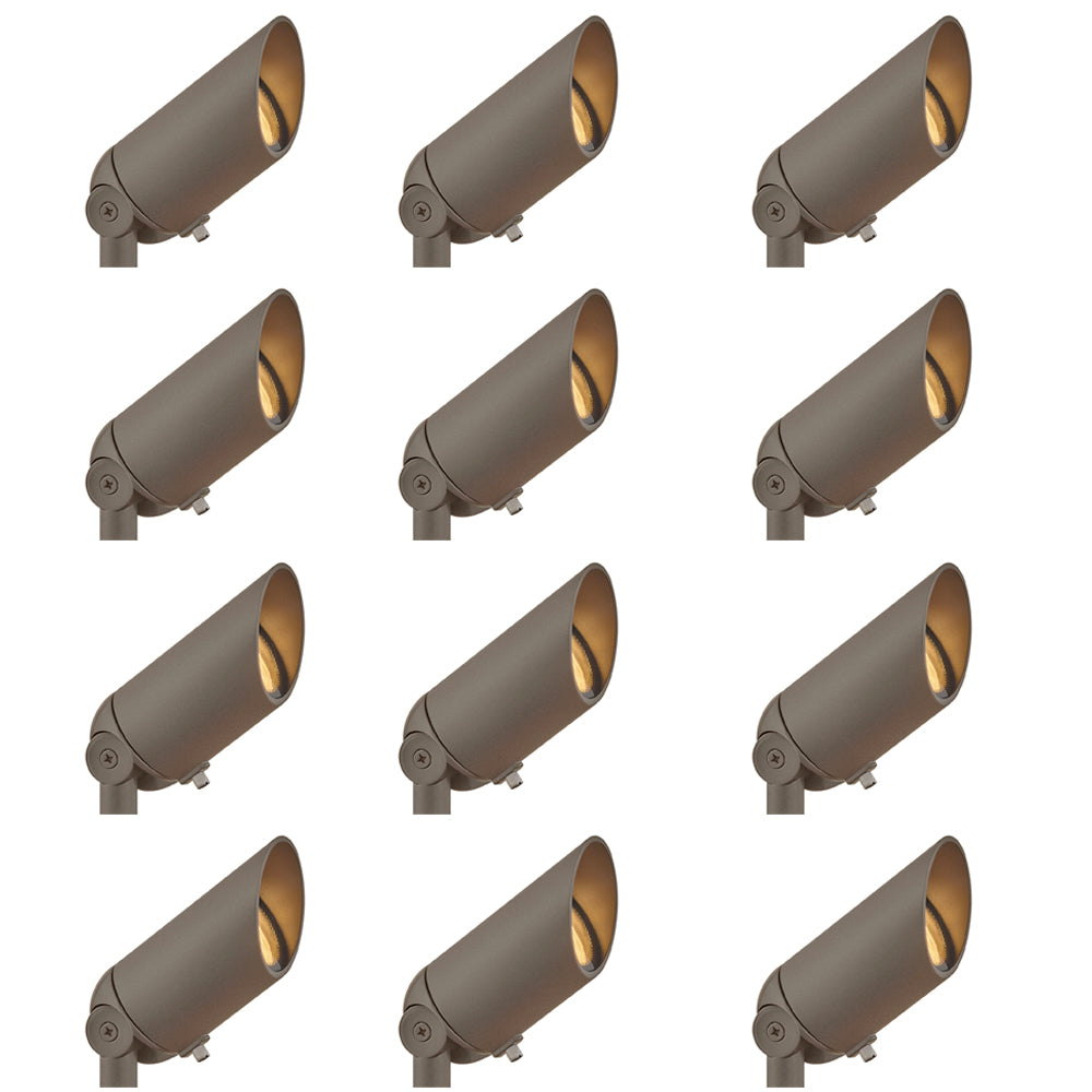 Accent Spot Light 12V MR16 Spotlight - 12 Pack