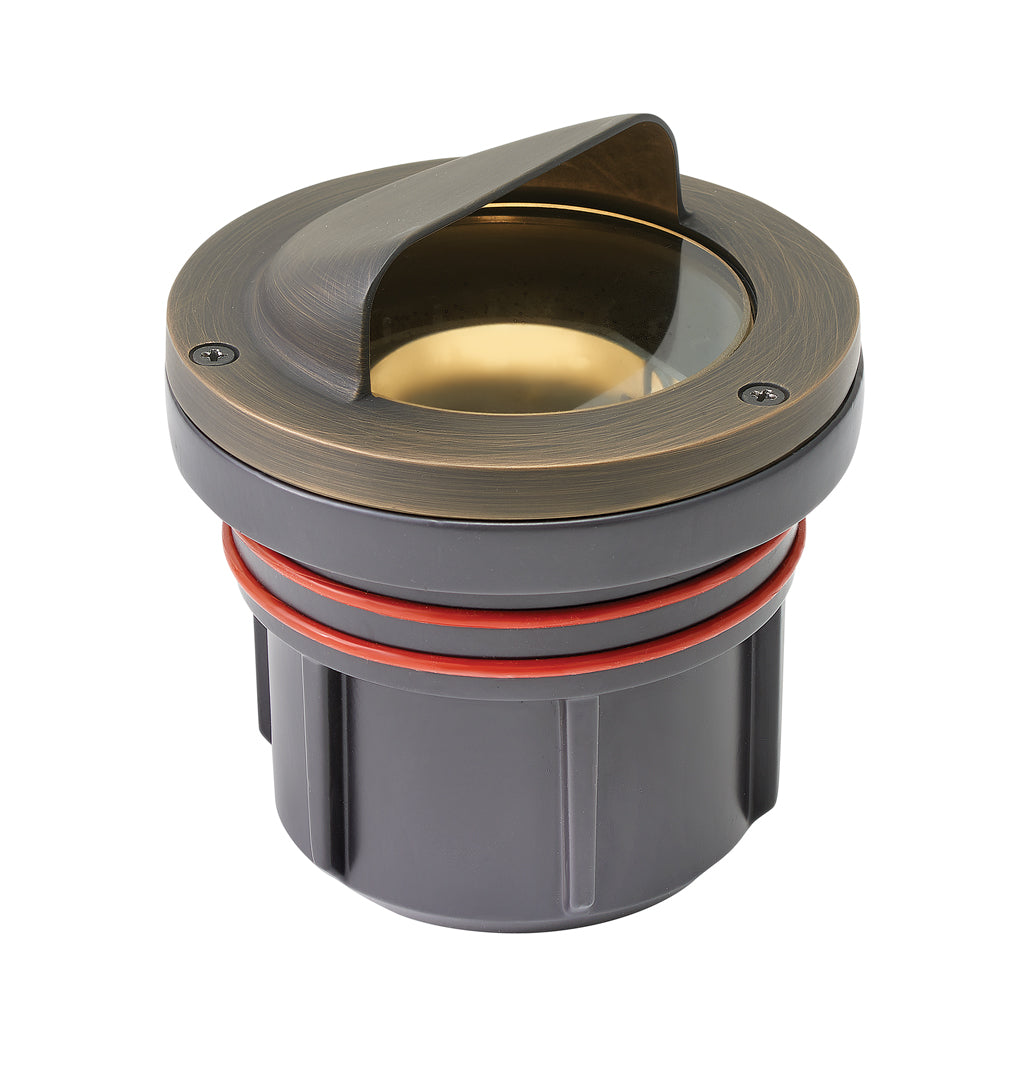 Well Light Variable Output LED 3000K Shielded