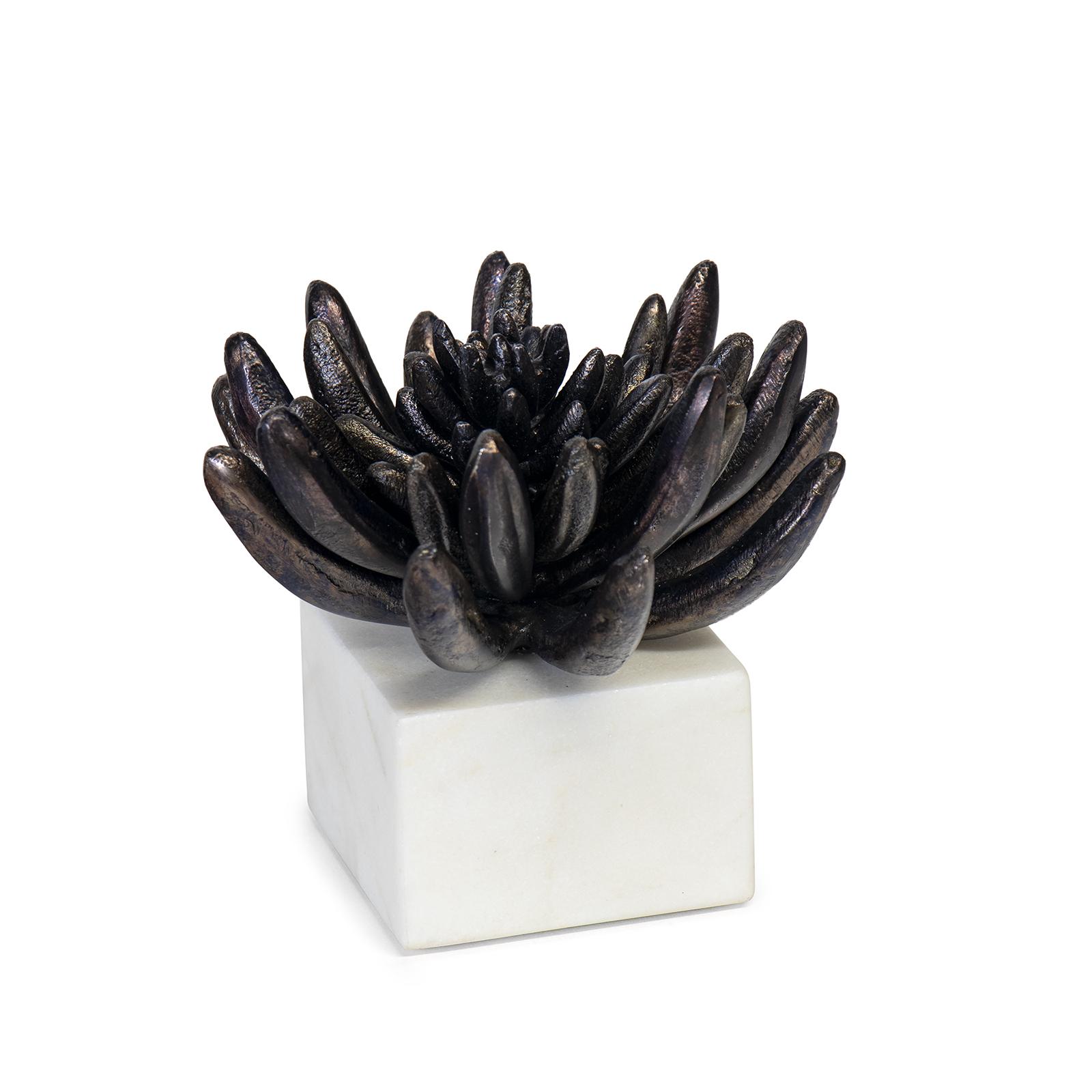Succulent Sculpture 2