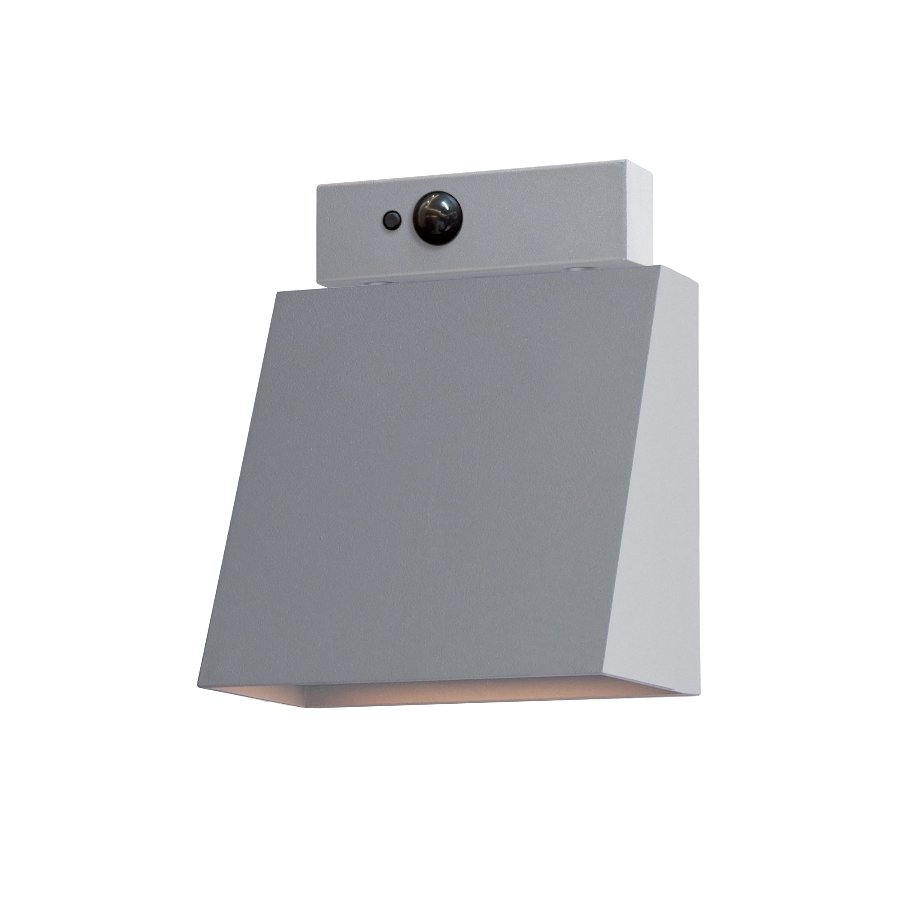 Pathfinder Outdoor Wall Mount