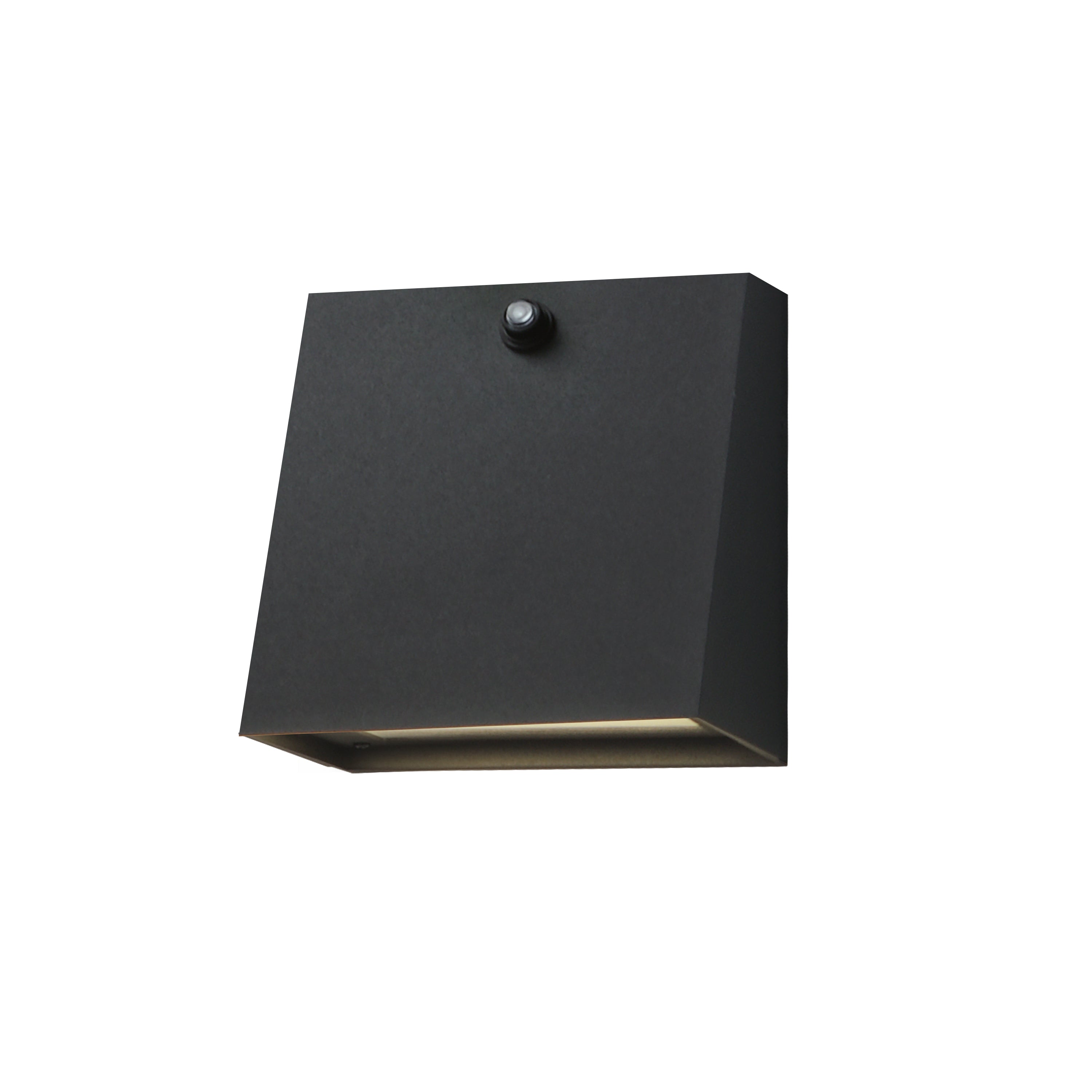 Pathfinder Outdoor Wall Mount