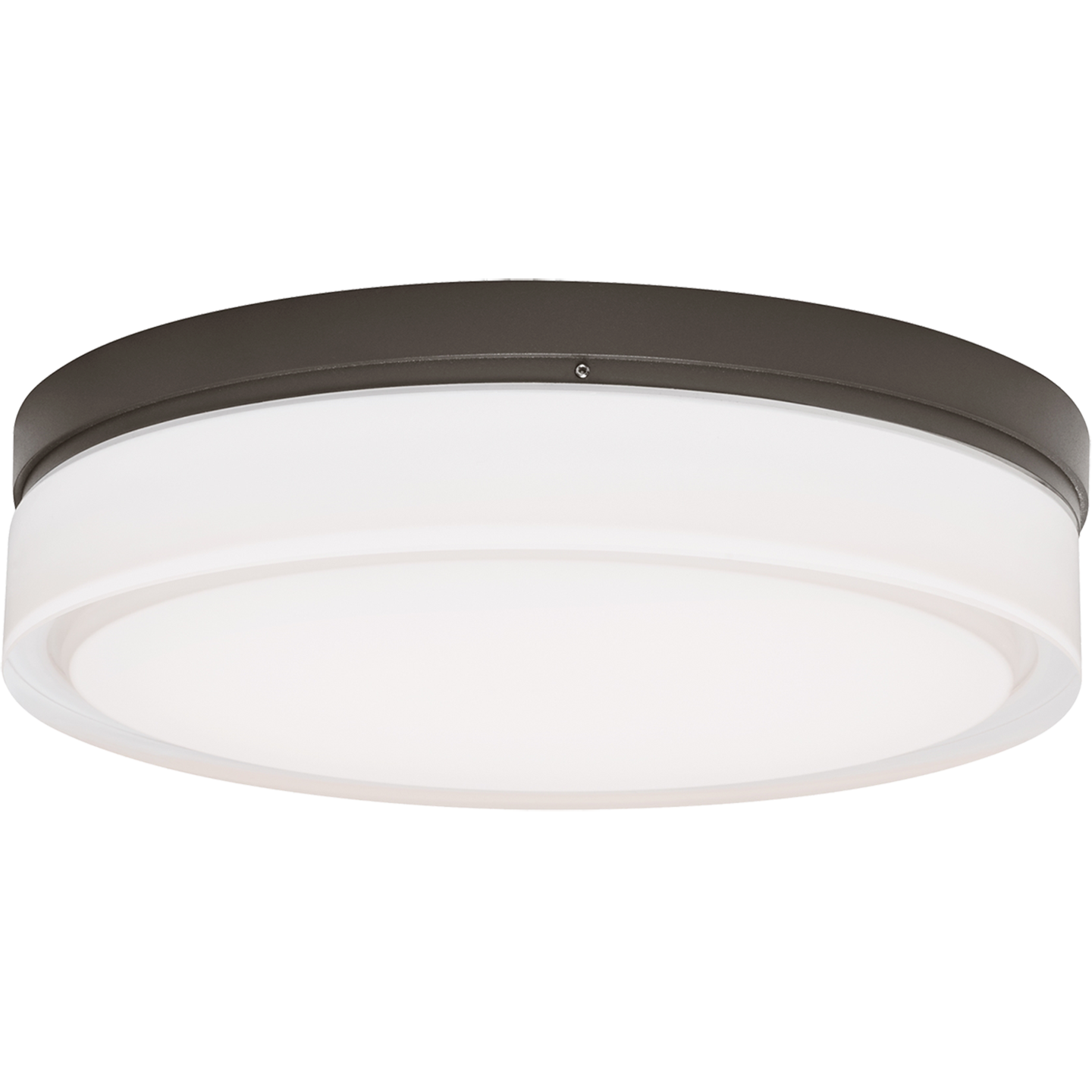 Cirque Large Outdoor Wall/Flush Mount