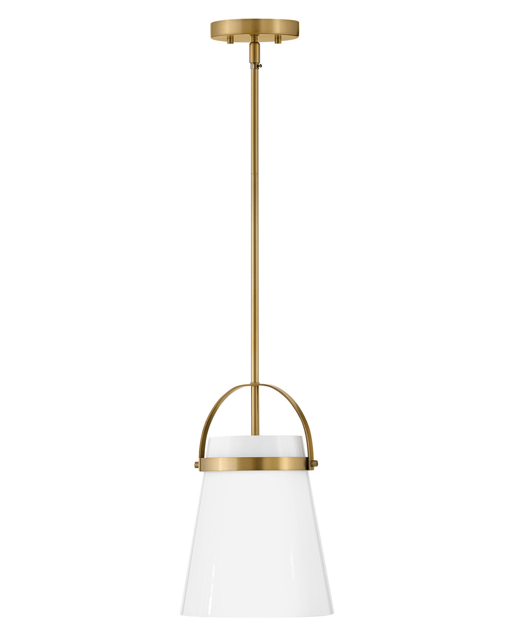 Tori Small Single Light Convertible Pendant