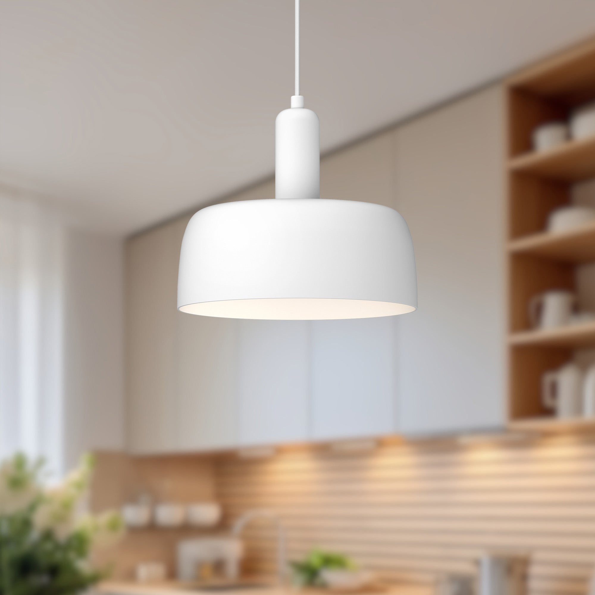 Adriano 10" 1 Light Pendant
