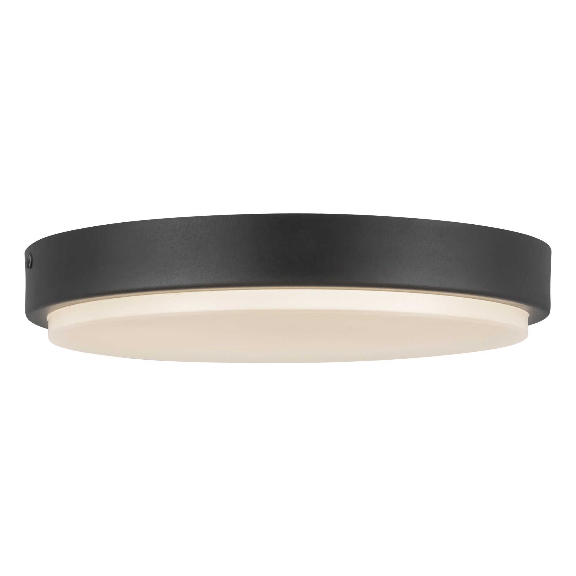 Bailey 11" dimmable LED Outdoor Ceiling Light