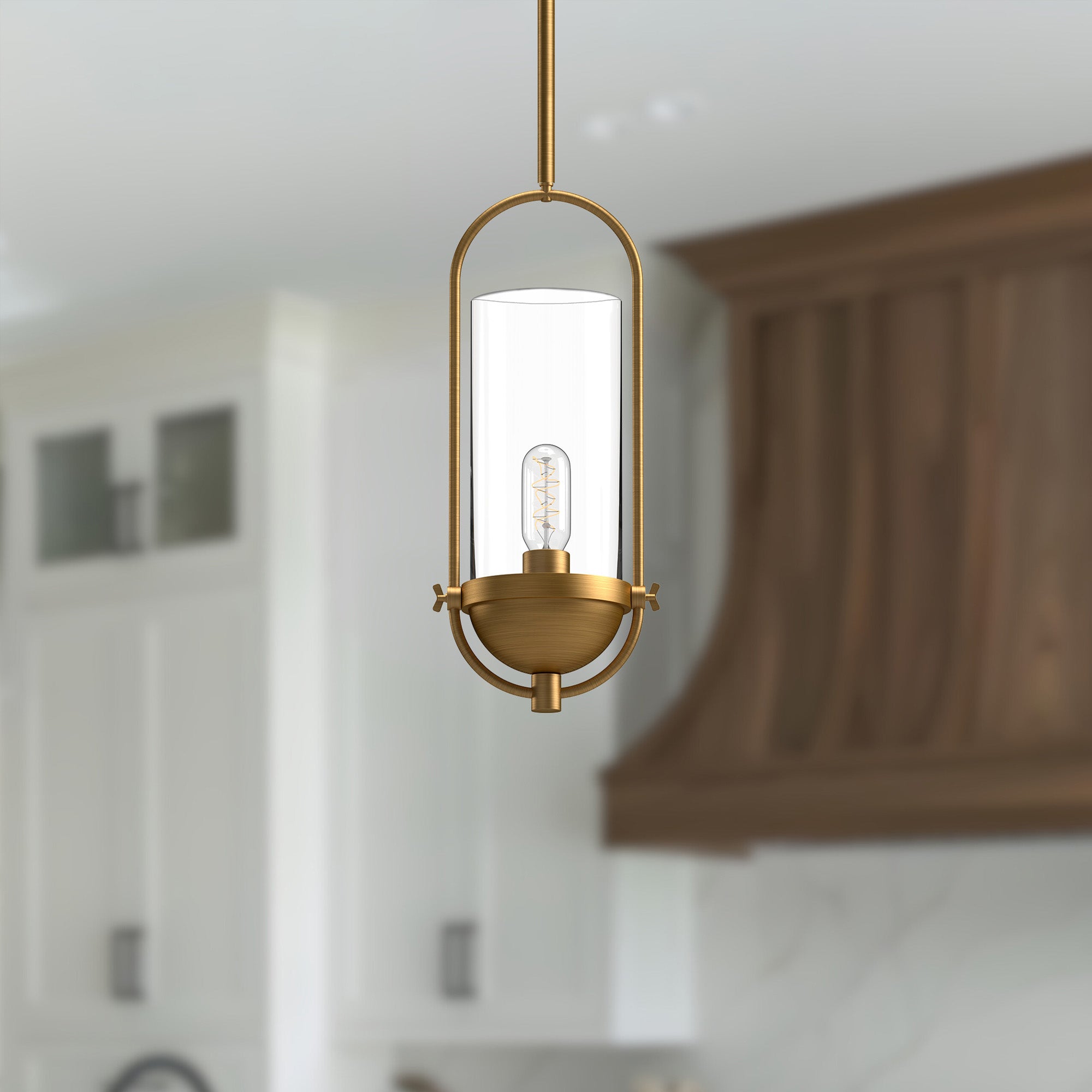 Cyrus 8" 1 Light Pendant