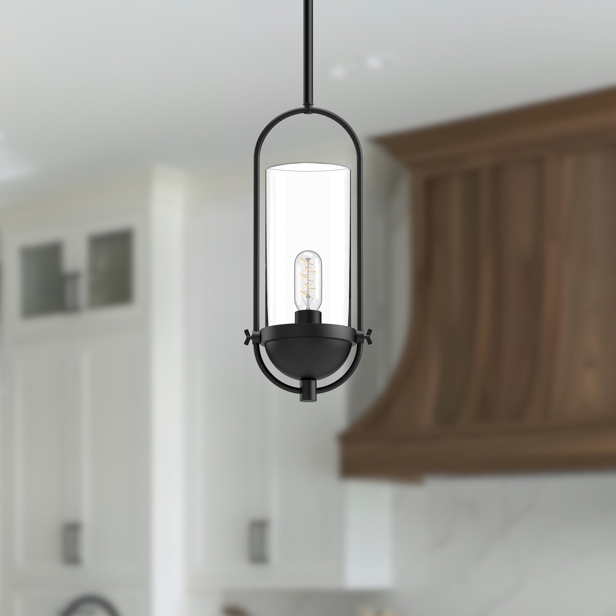 Cyrus 8" 1 Light Pendant