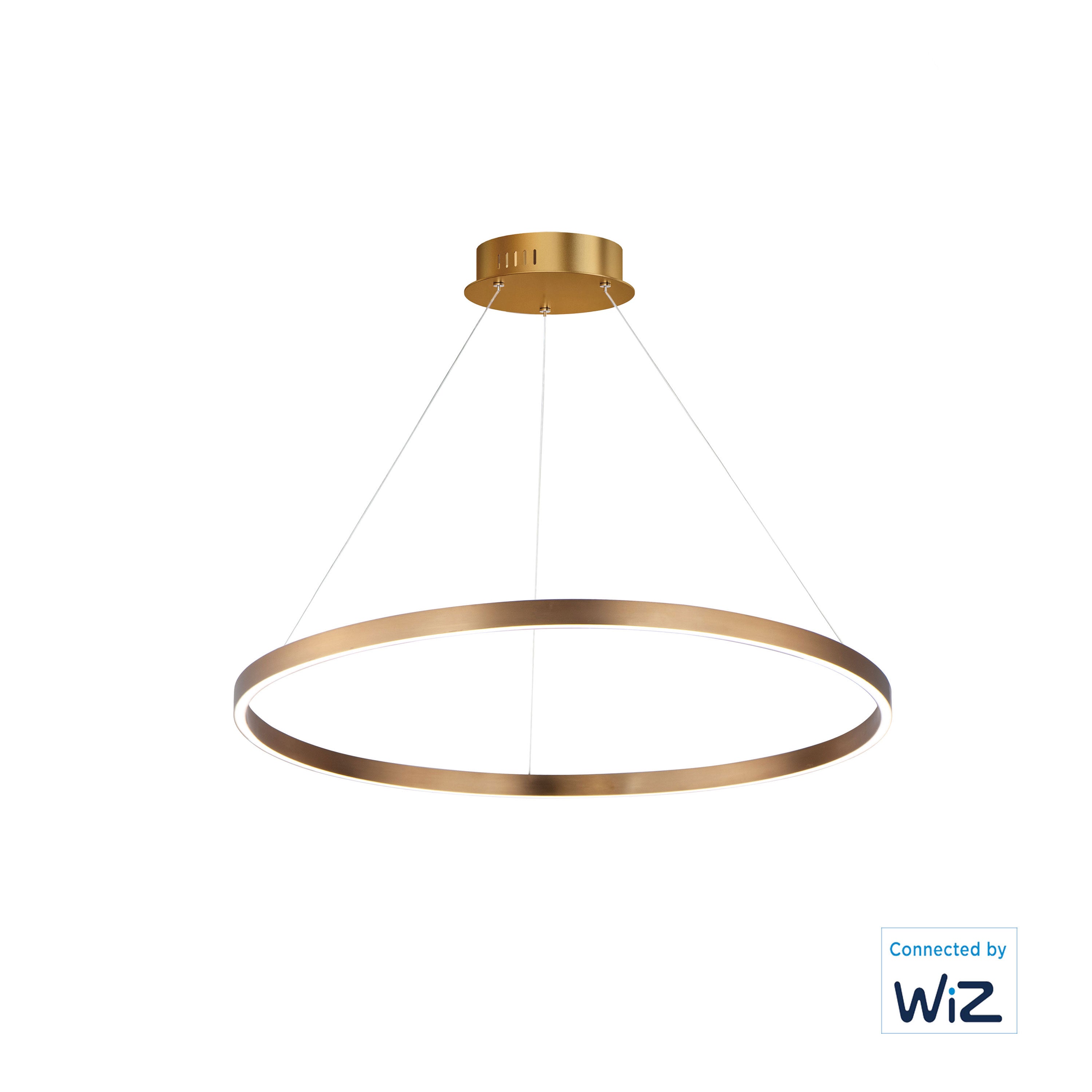 Groove WiZ Single Pendant