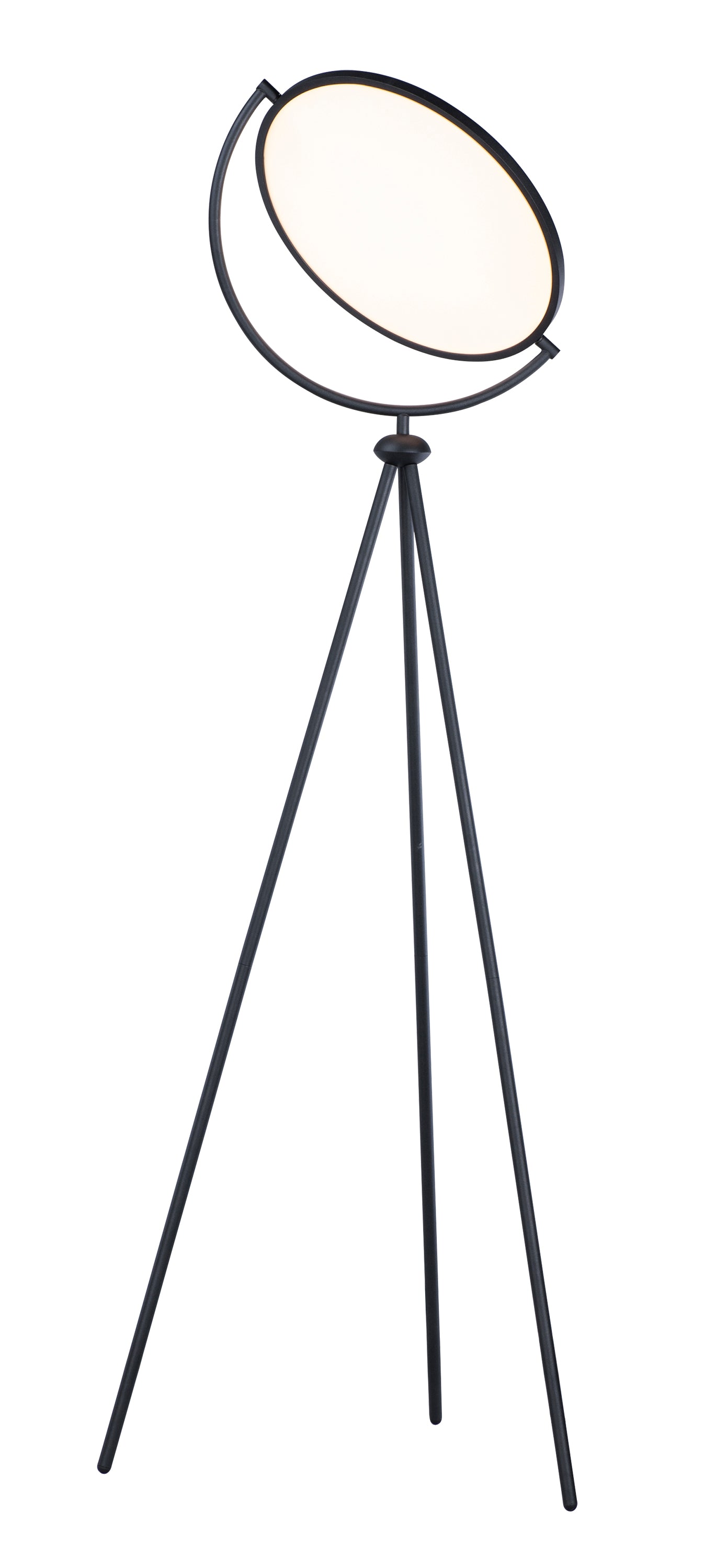 Paddle Floor Lamp