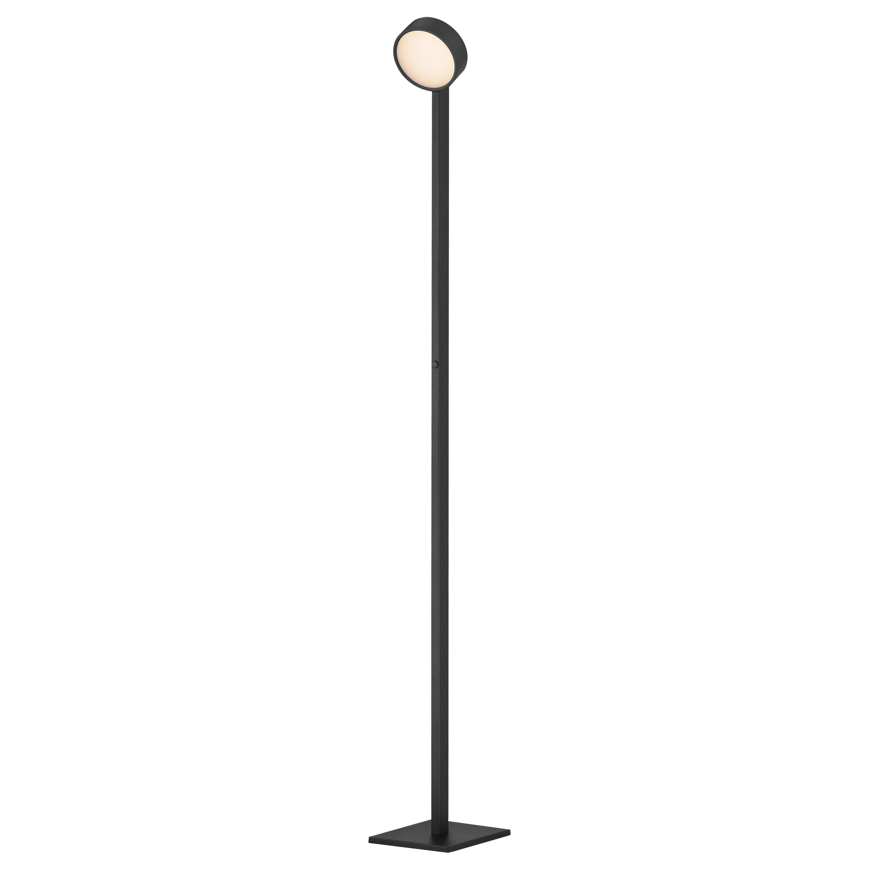 Embrace Floor Lamp