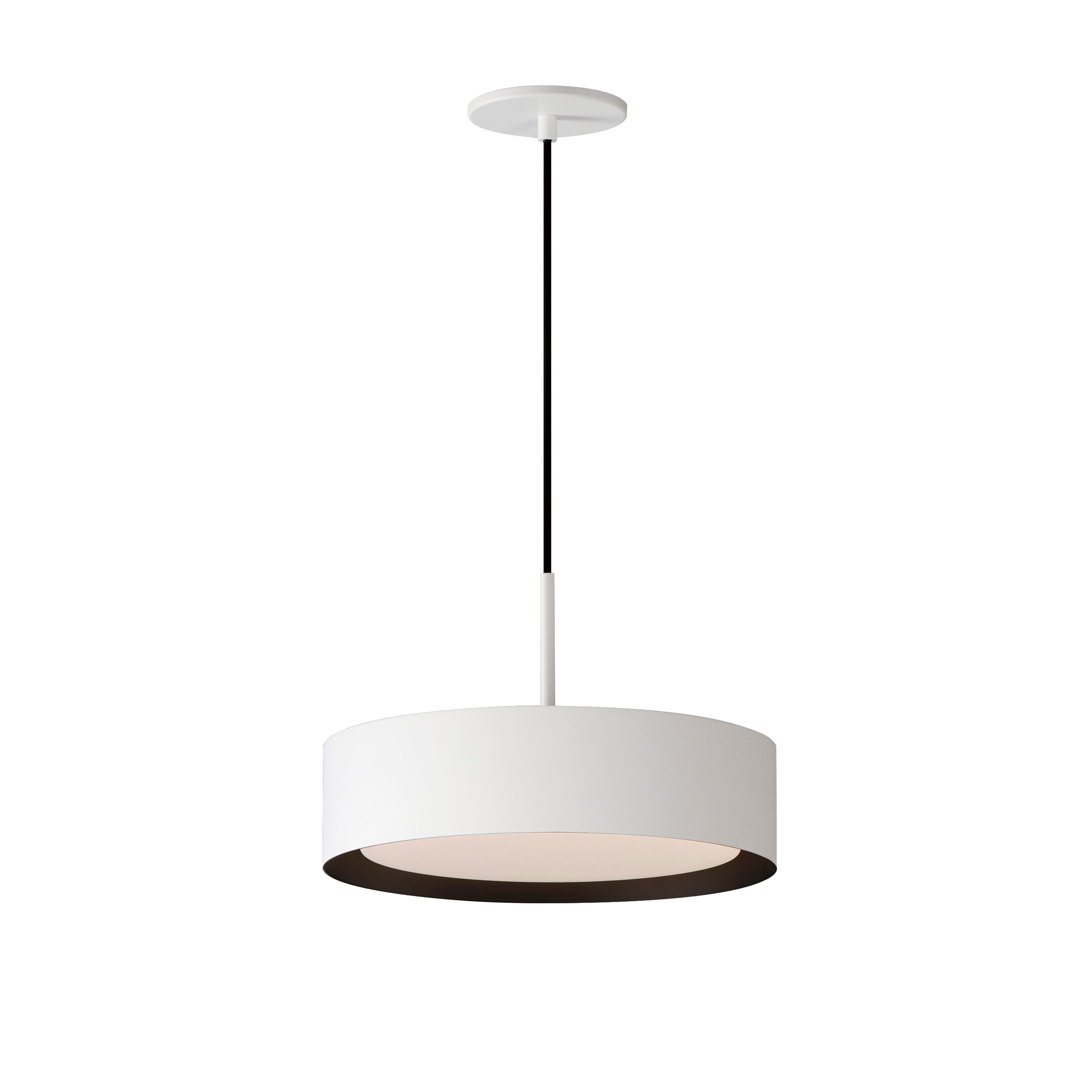 Echo Single Pendant