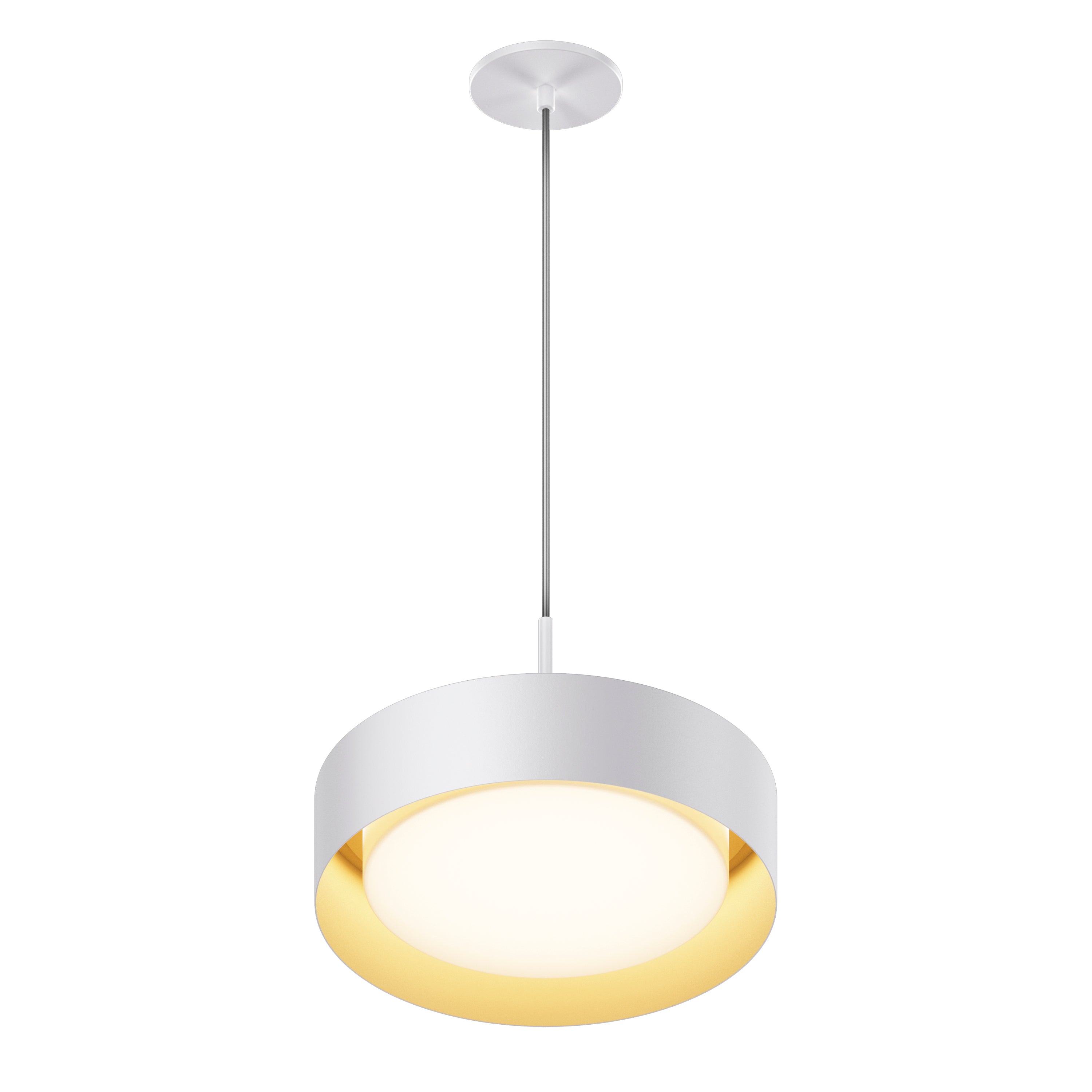 Echo Single Pendant