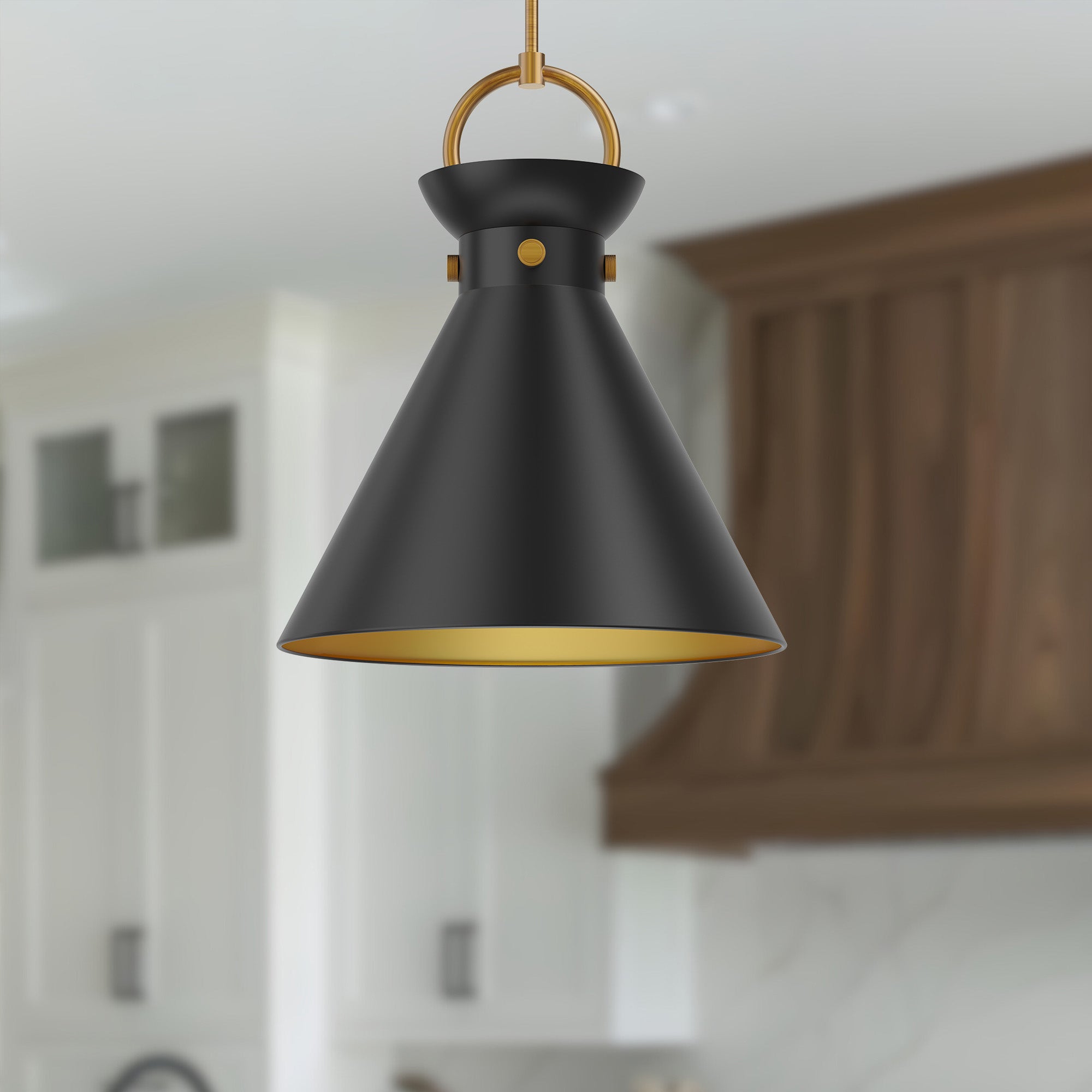 Emerson 18" 1 Light Pendant