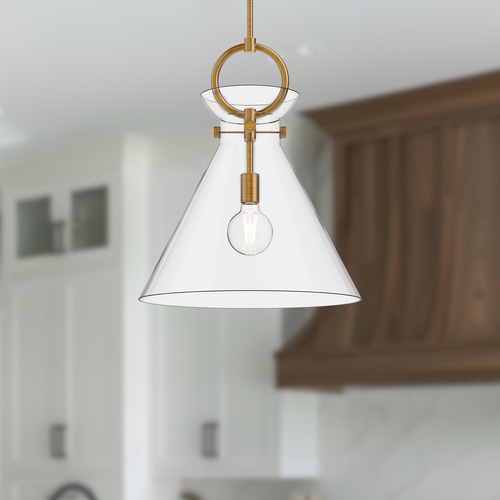 Emerson 18" 1 Light Pendant