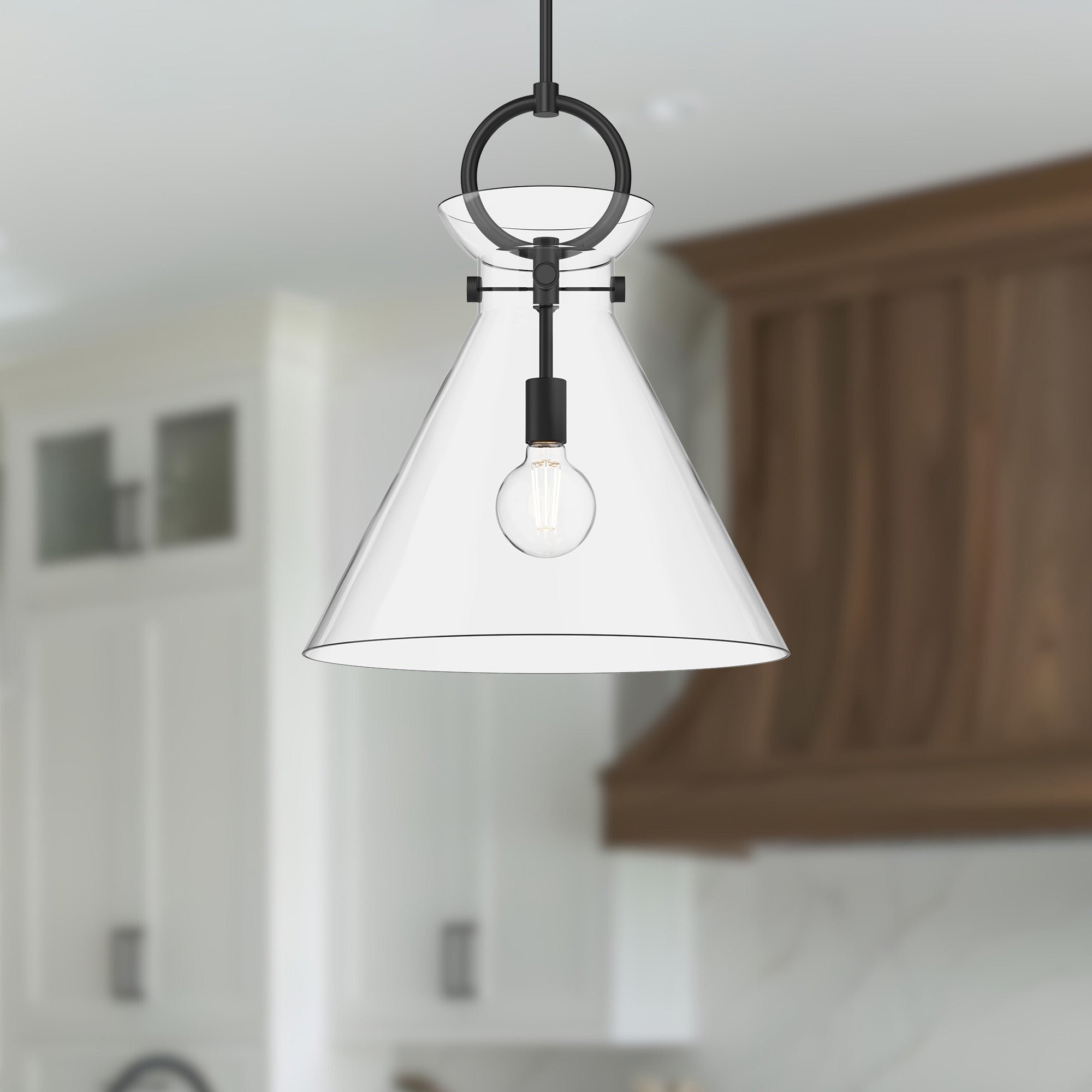 Emerson 18" 1 Light Pendant