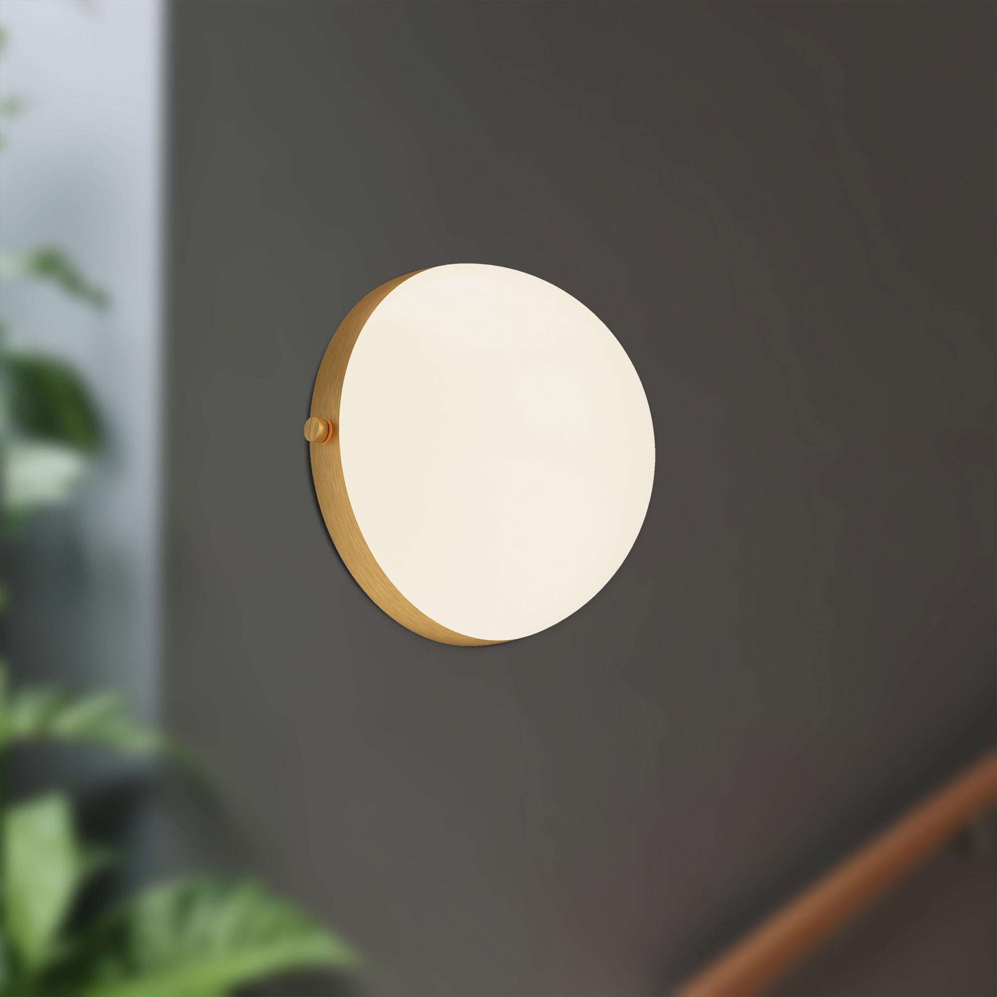 Globo 7" LED Wall/Vanity