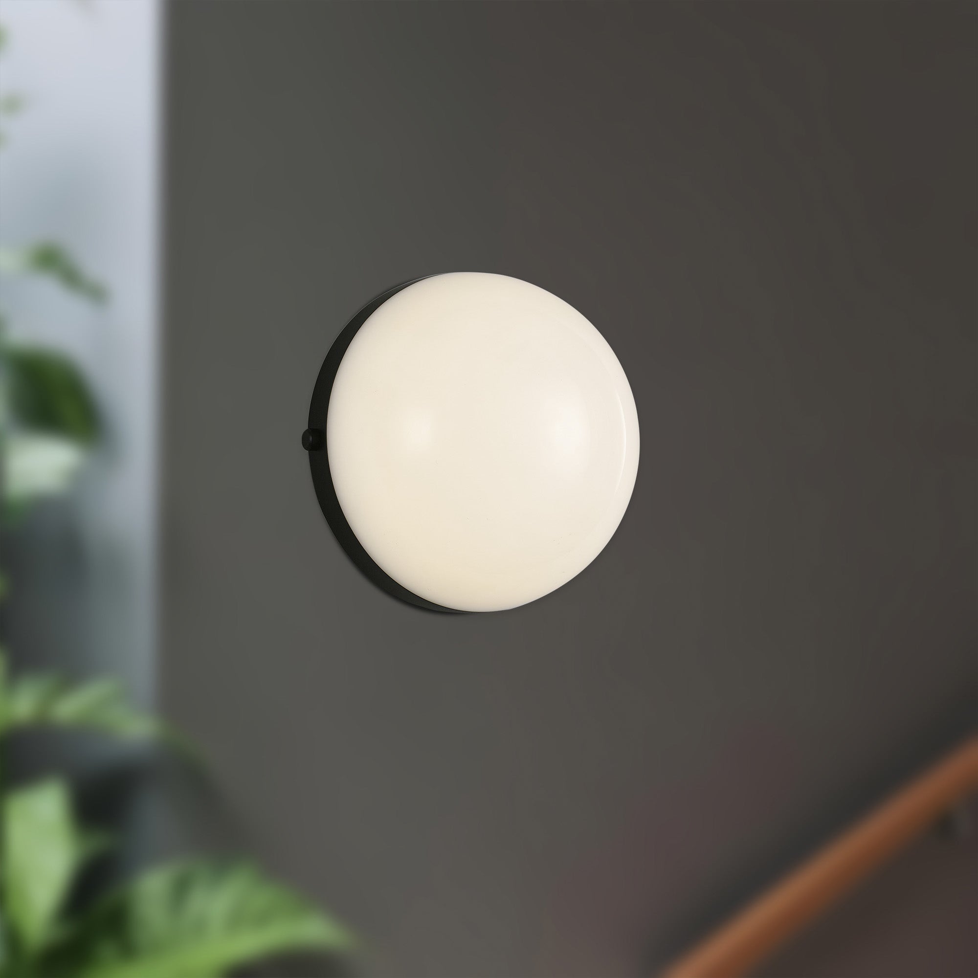 Globo 7" LED Wall/Vanity