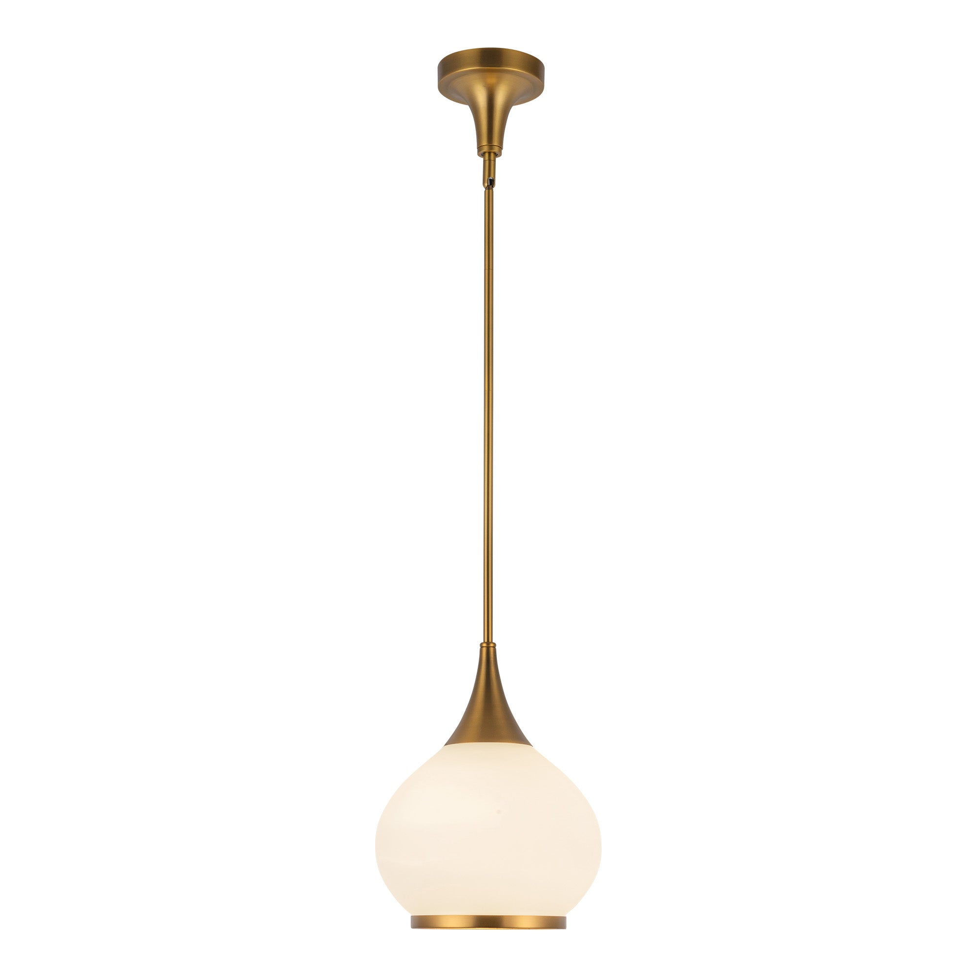 Hazel 10" 1 Light Pendant