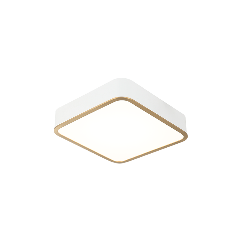 Ainslay Ceiling Mount