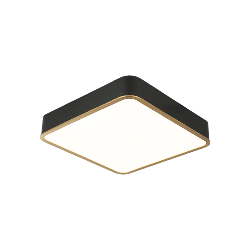 Ainslay Ceiling Mount