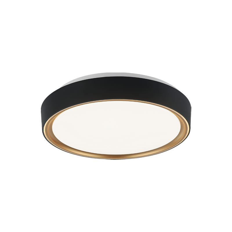 Alamus Ceiling Mount