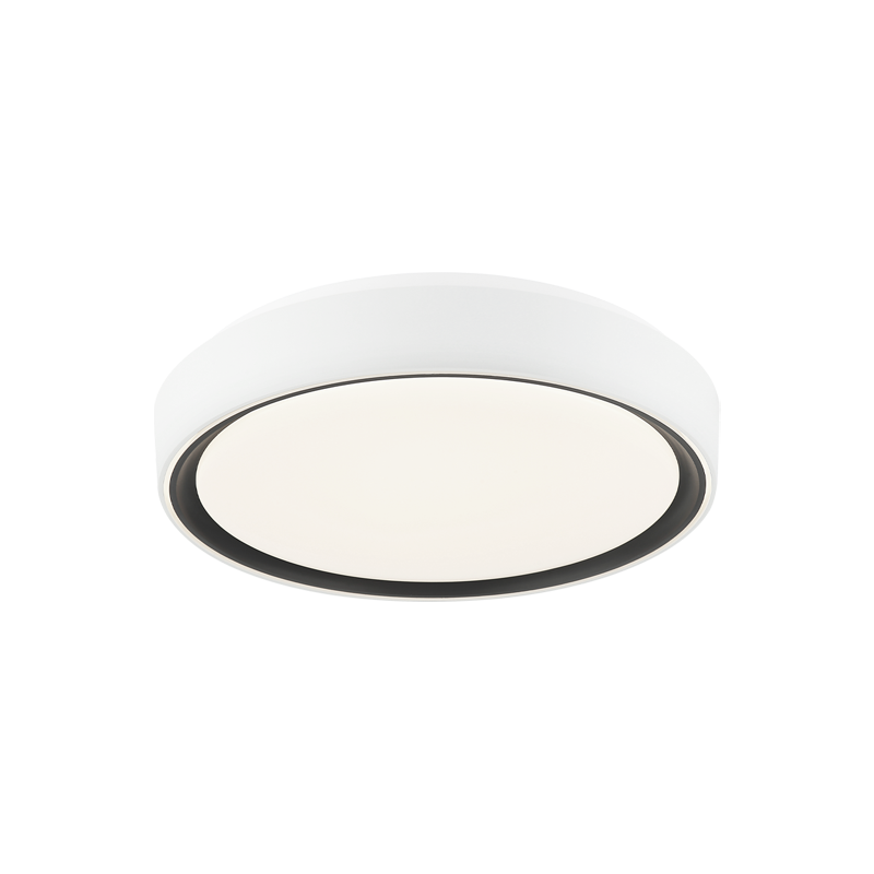Alamus Ceiling Mount