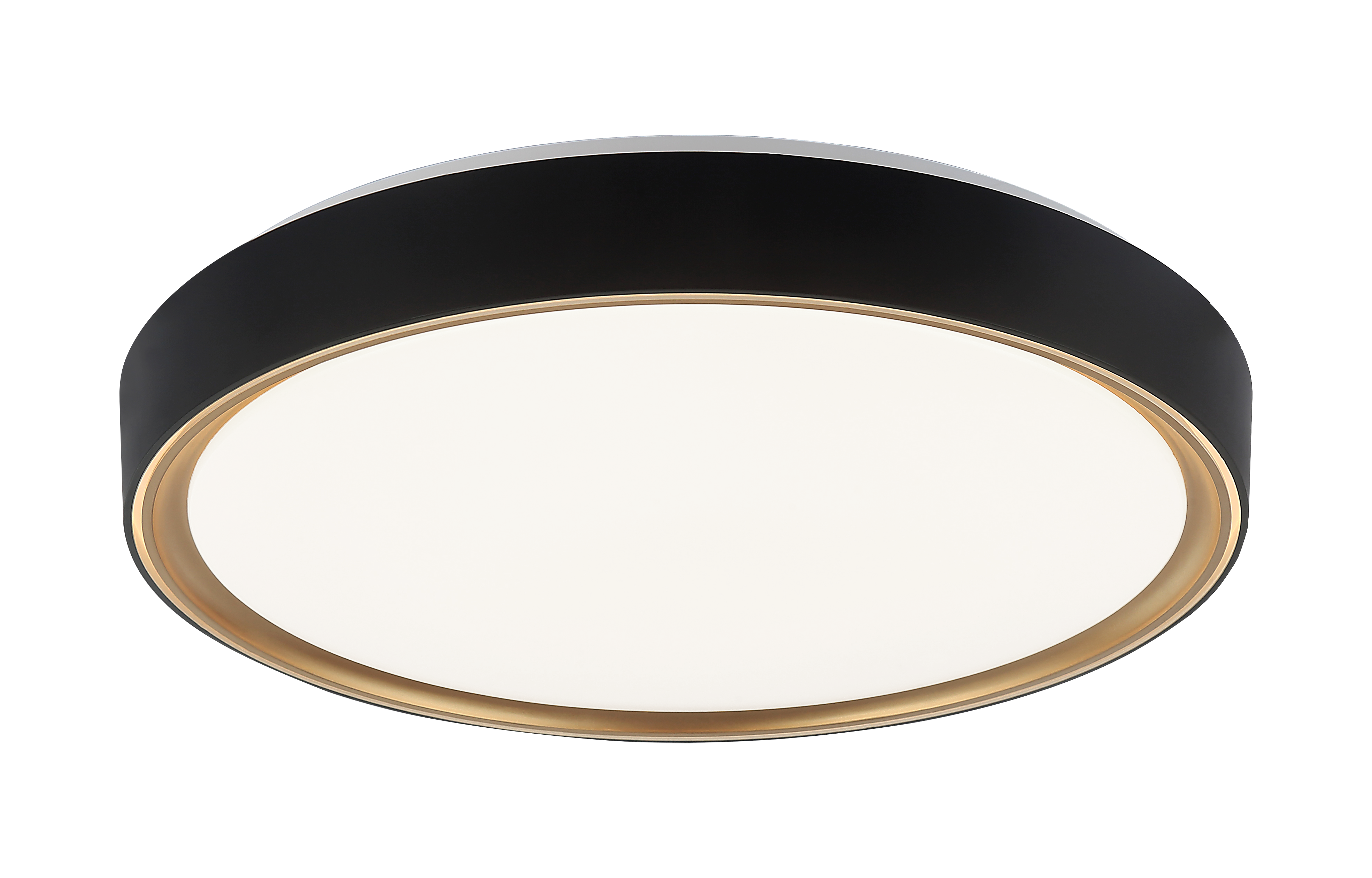 Alamus Ceiling Mount