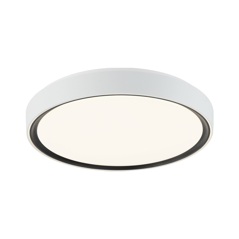 Alamus Ceiling Mount