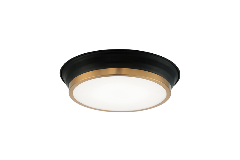 Jaxx Ceiling Mount