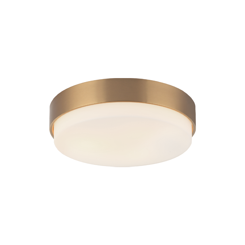 Quintz Ceiling Mount