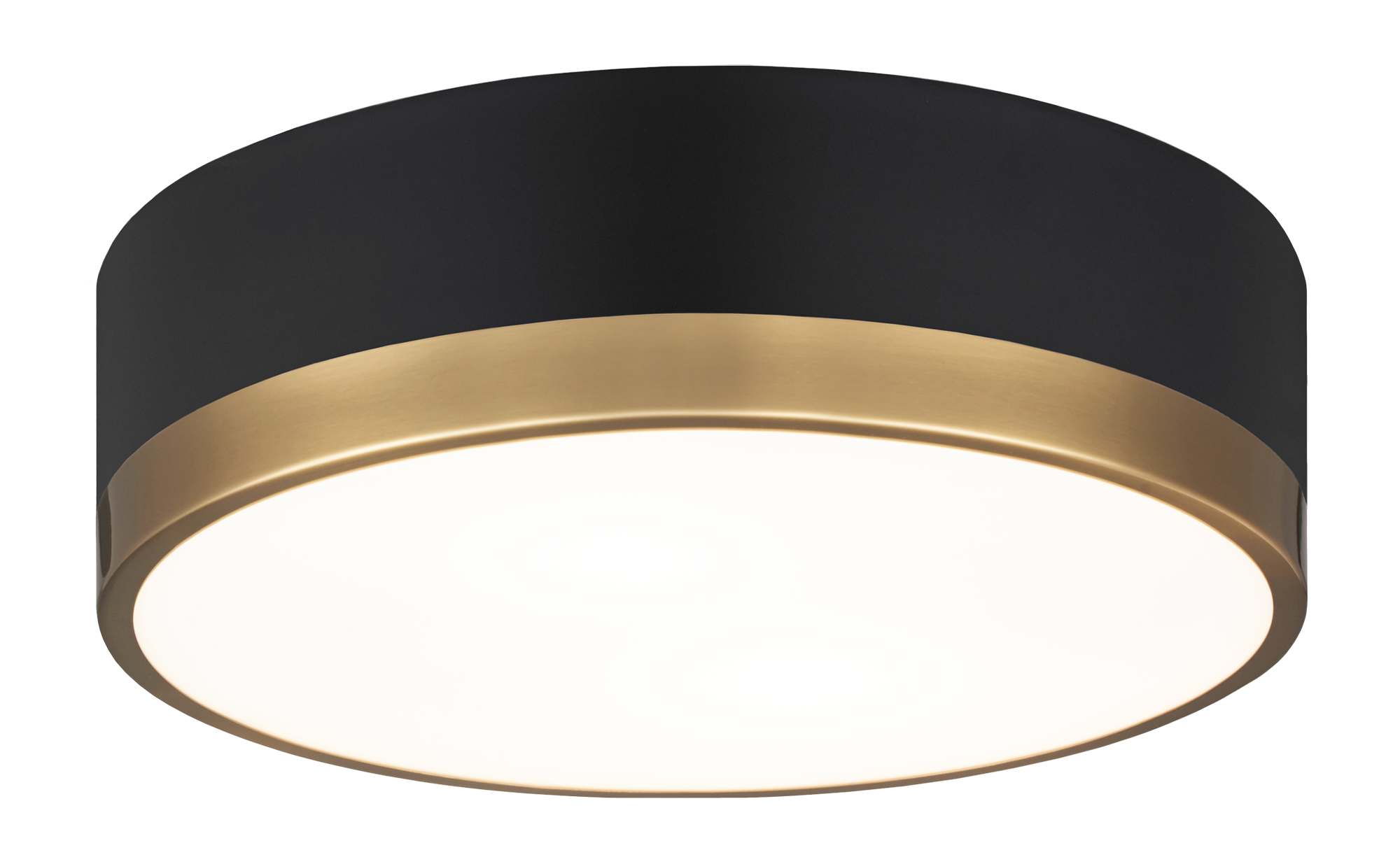 Trydor Ceiling Mount 2 Light Pendant