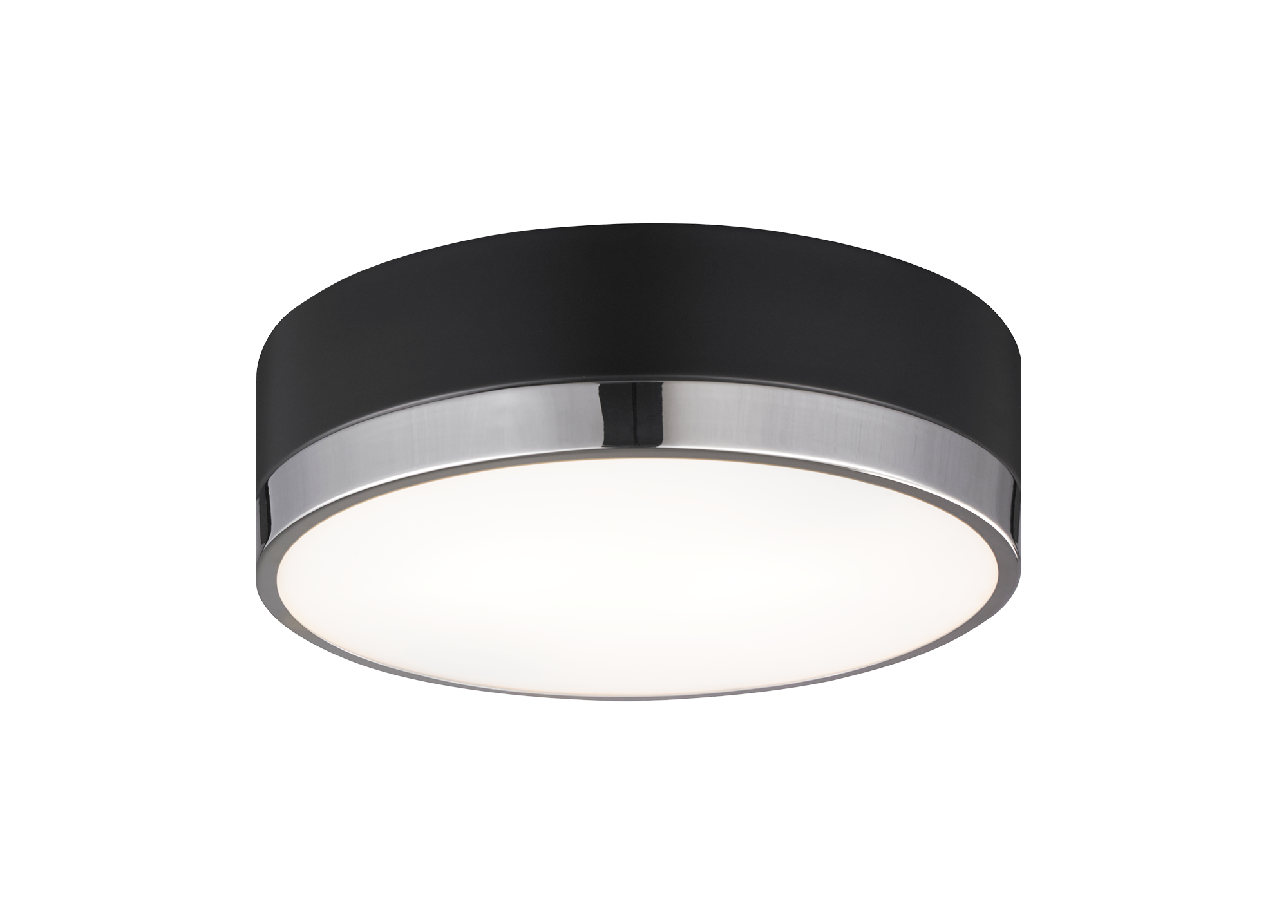 Trydor Ceiling Mount 2 Light Pendant