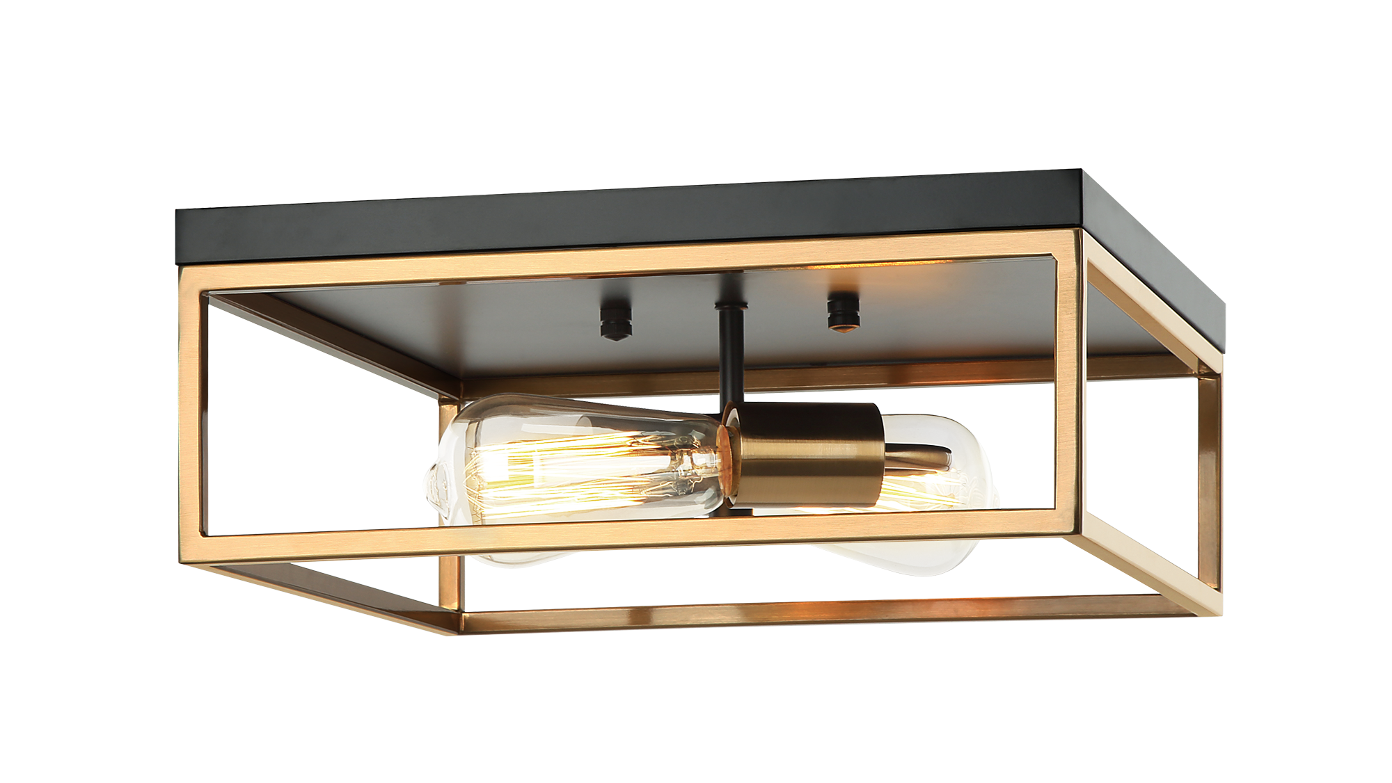 Clarke Ceiling Mount 2 Light Pendant