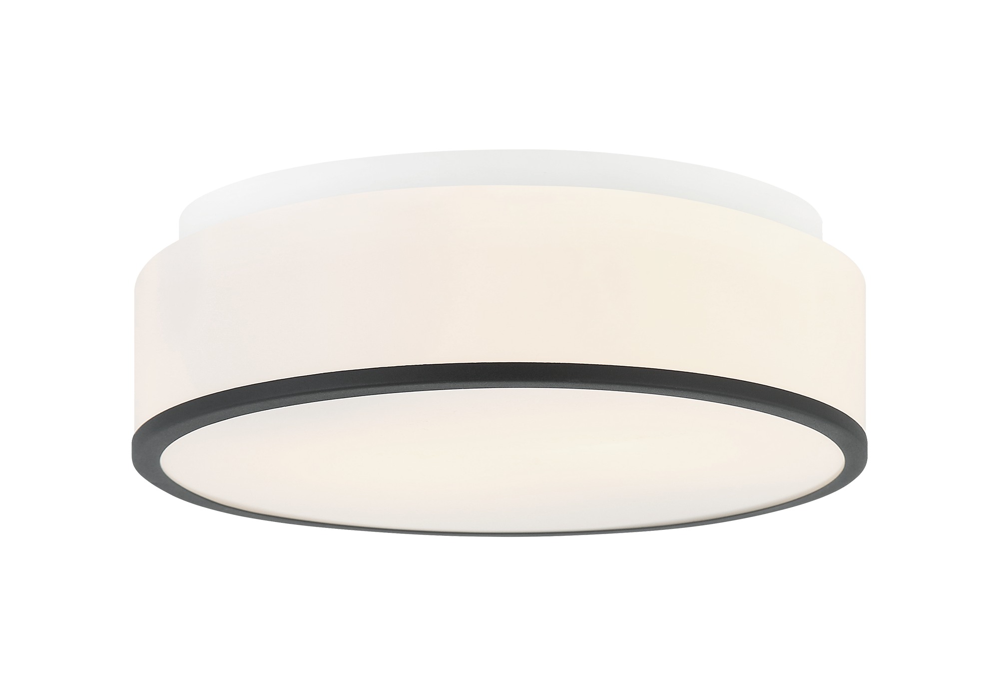 Echo Ceiling Mount 2 Light Pendant
