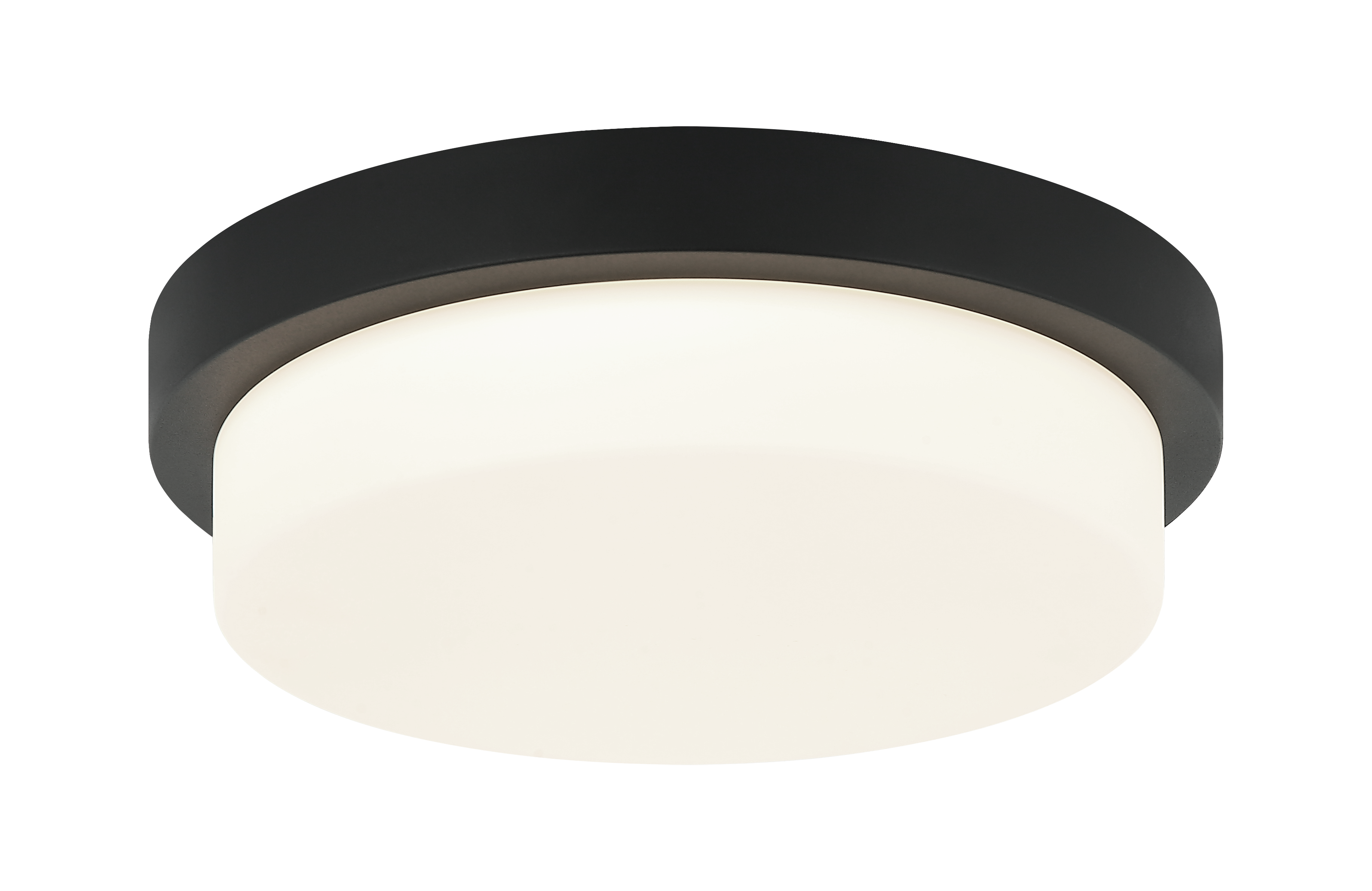Durham Ceiling Mount