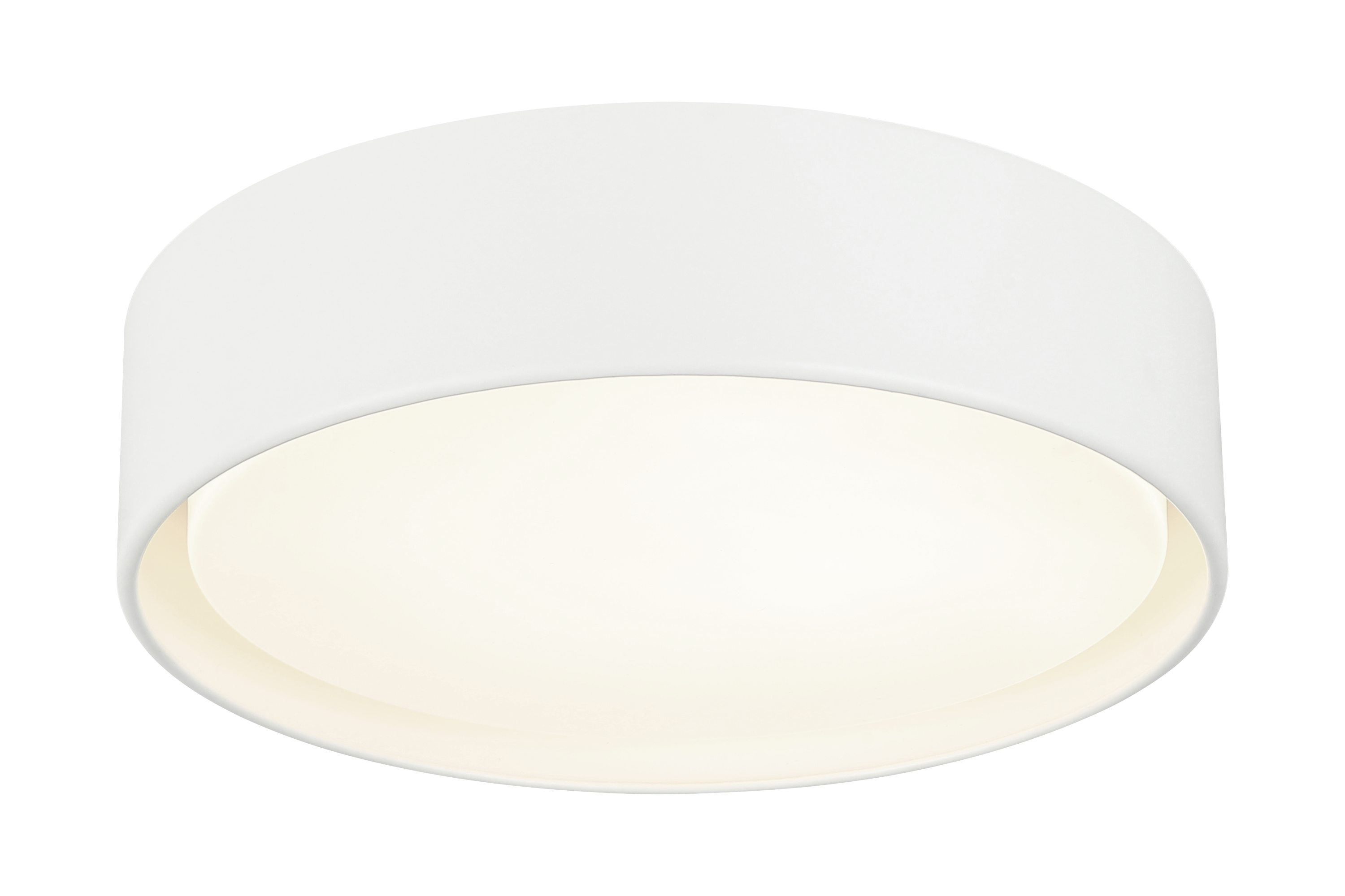 Ezra Ceiling Mount