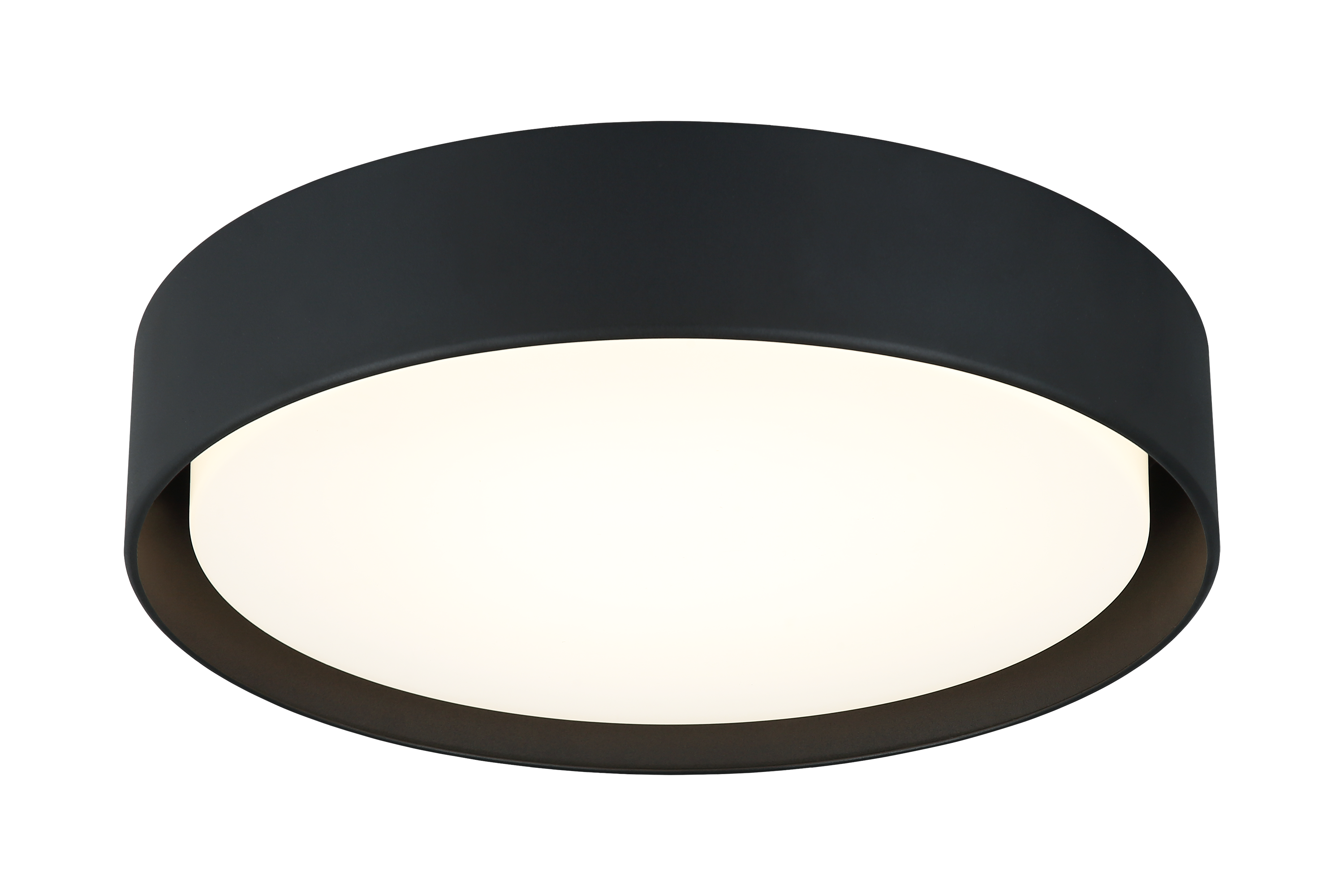 Ezra Ceiling Mount