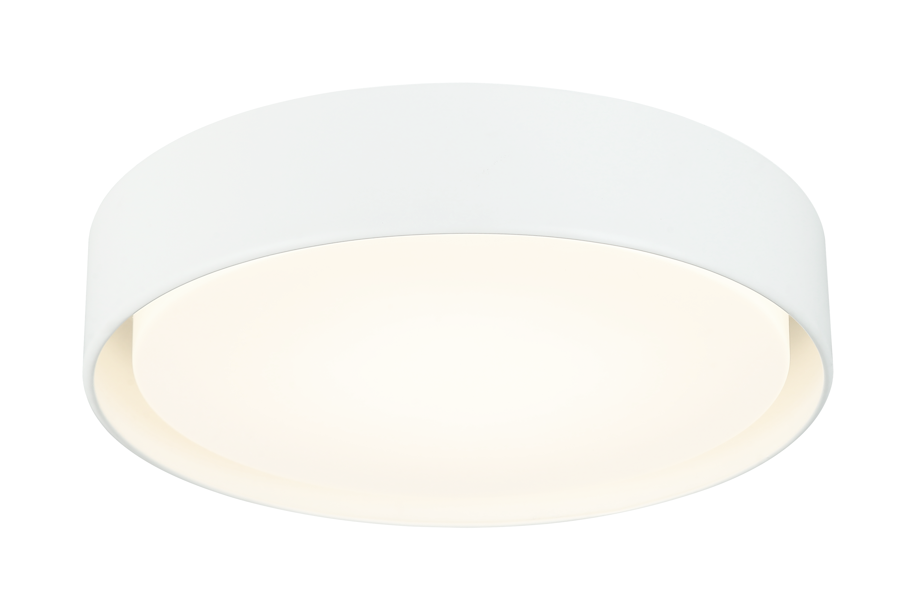 Ezra Ceiling Mount