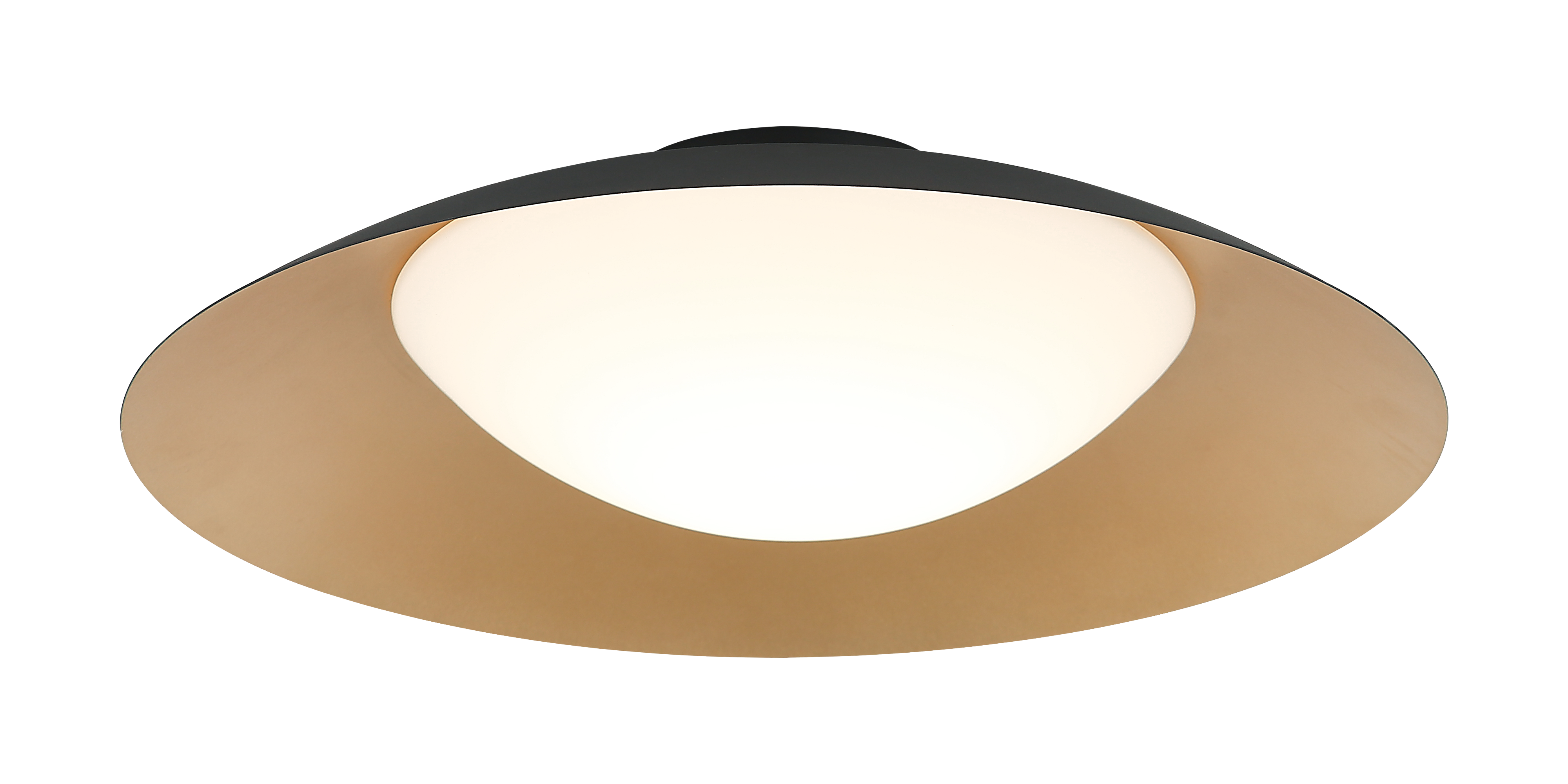 Caravon Ceiling Mount