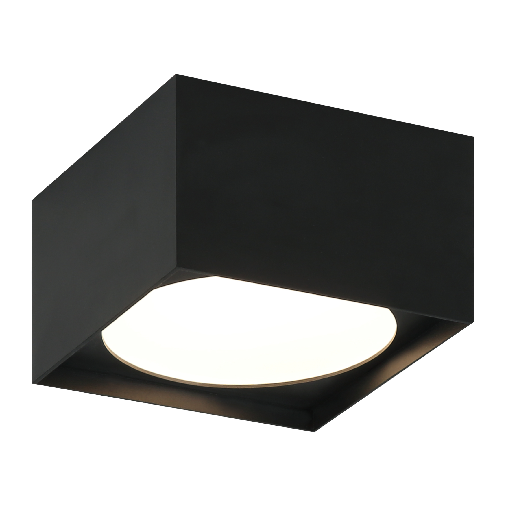 Caravon Ceiling Mount