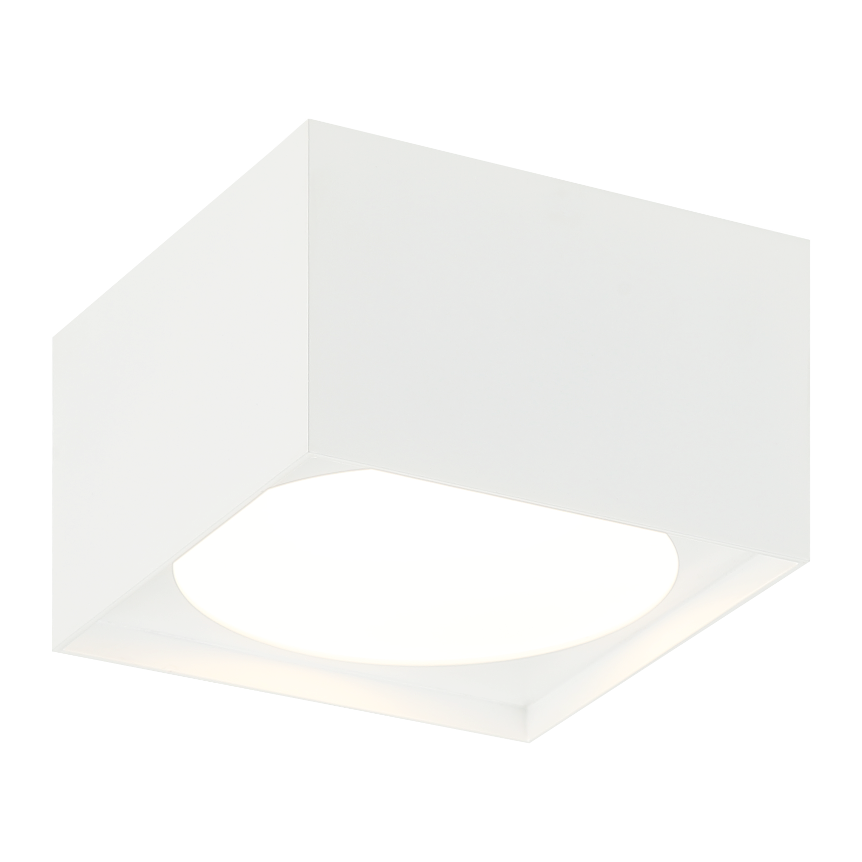Caravon Ceiling Mount