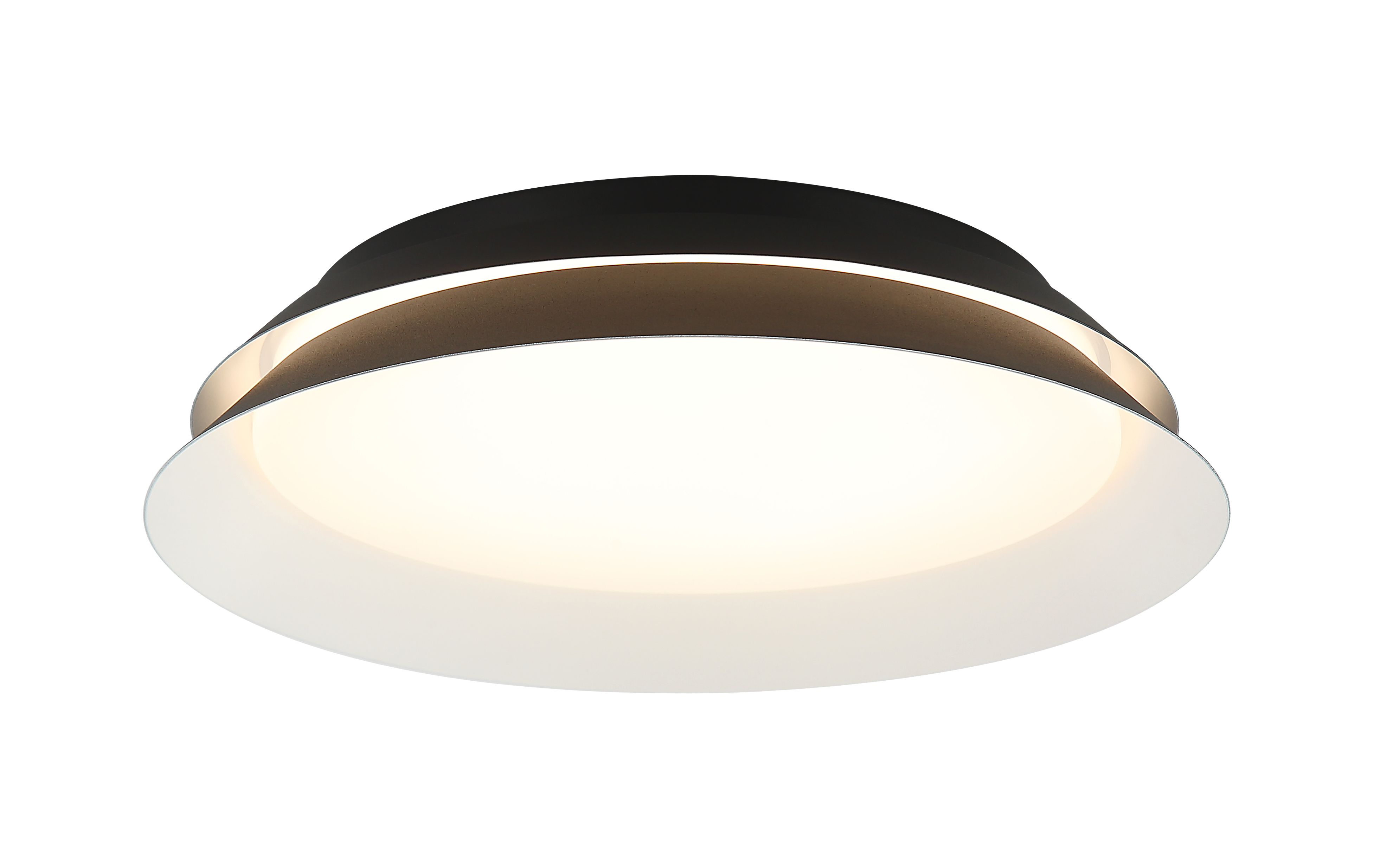 Dahlia Wall Sconce