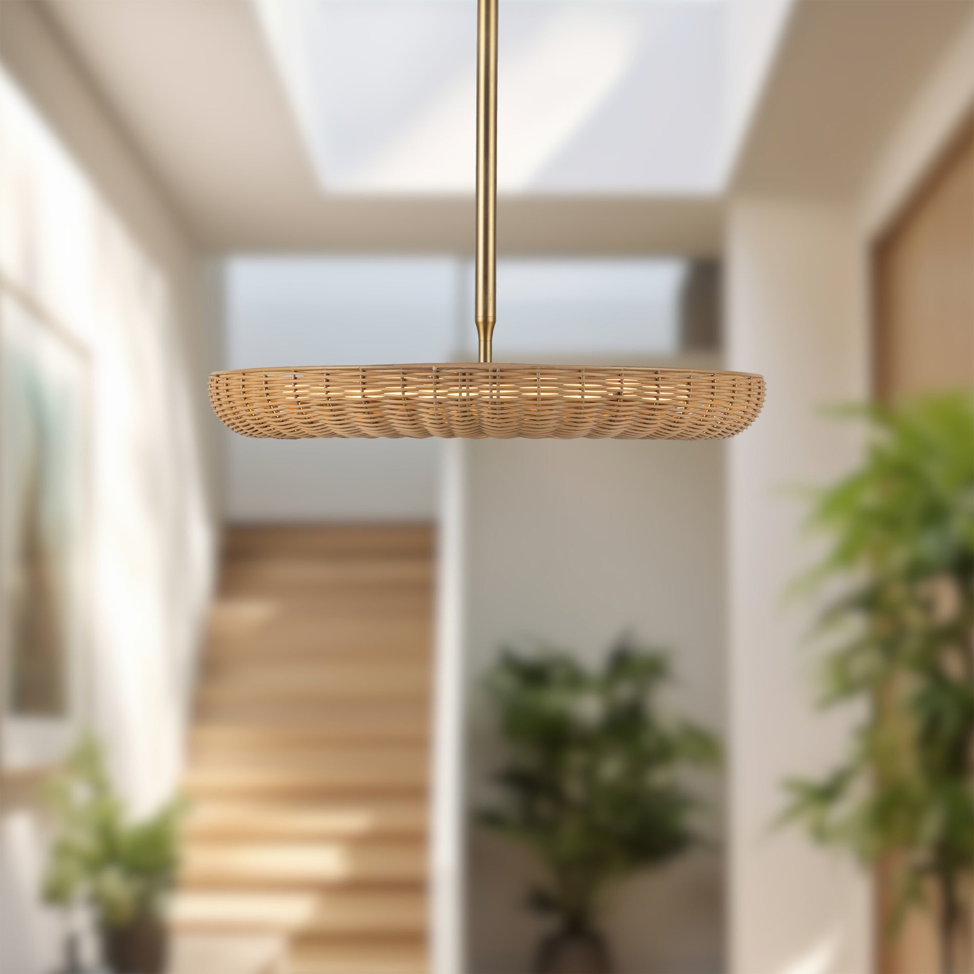 Maris 24" LED Chandelier