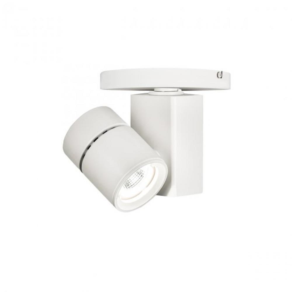 Exterminator Ii- 1014 Spot Light