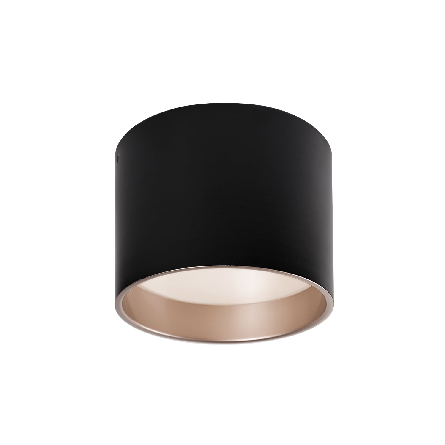 Mousinni 10" LED Flush Mount