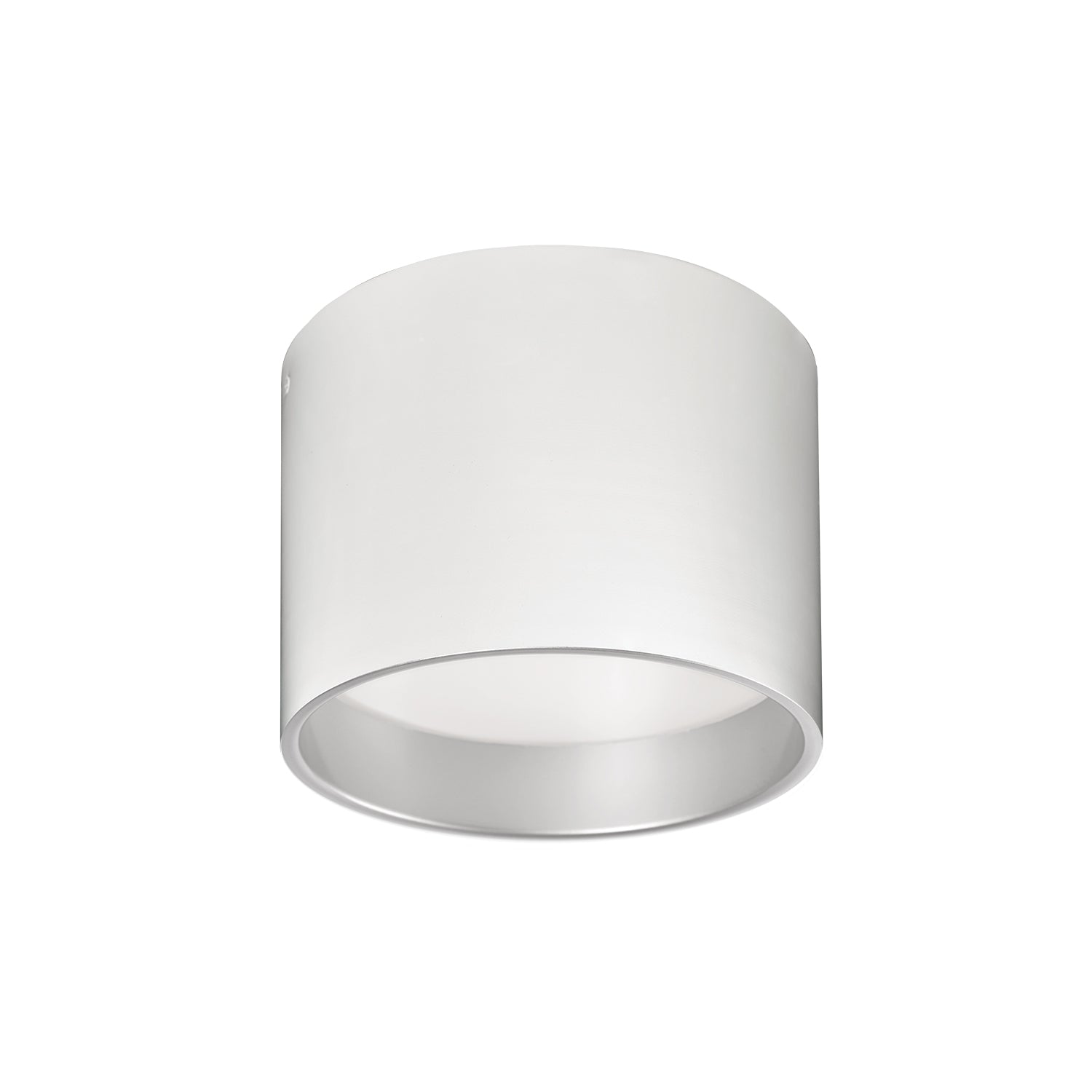 Mousinni 10" LED Flush Mount