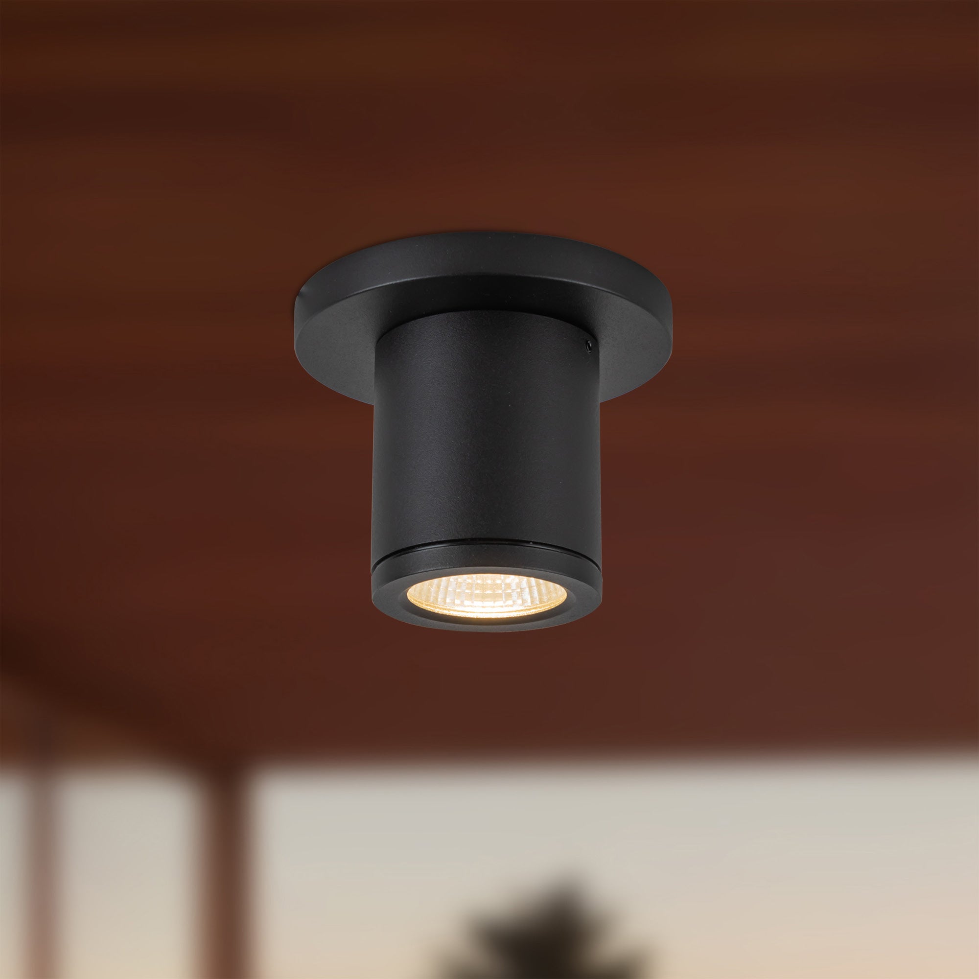Nordic 3" (2" Dia.) LED Exterior Ceiling